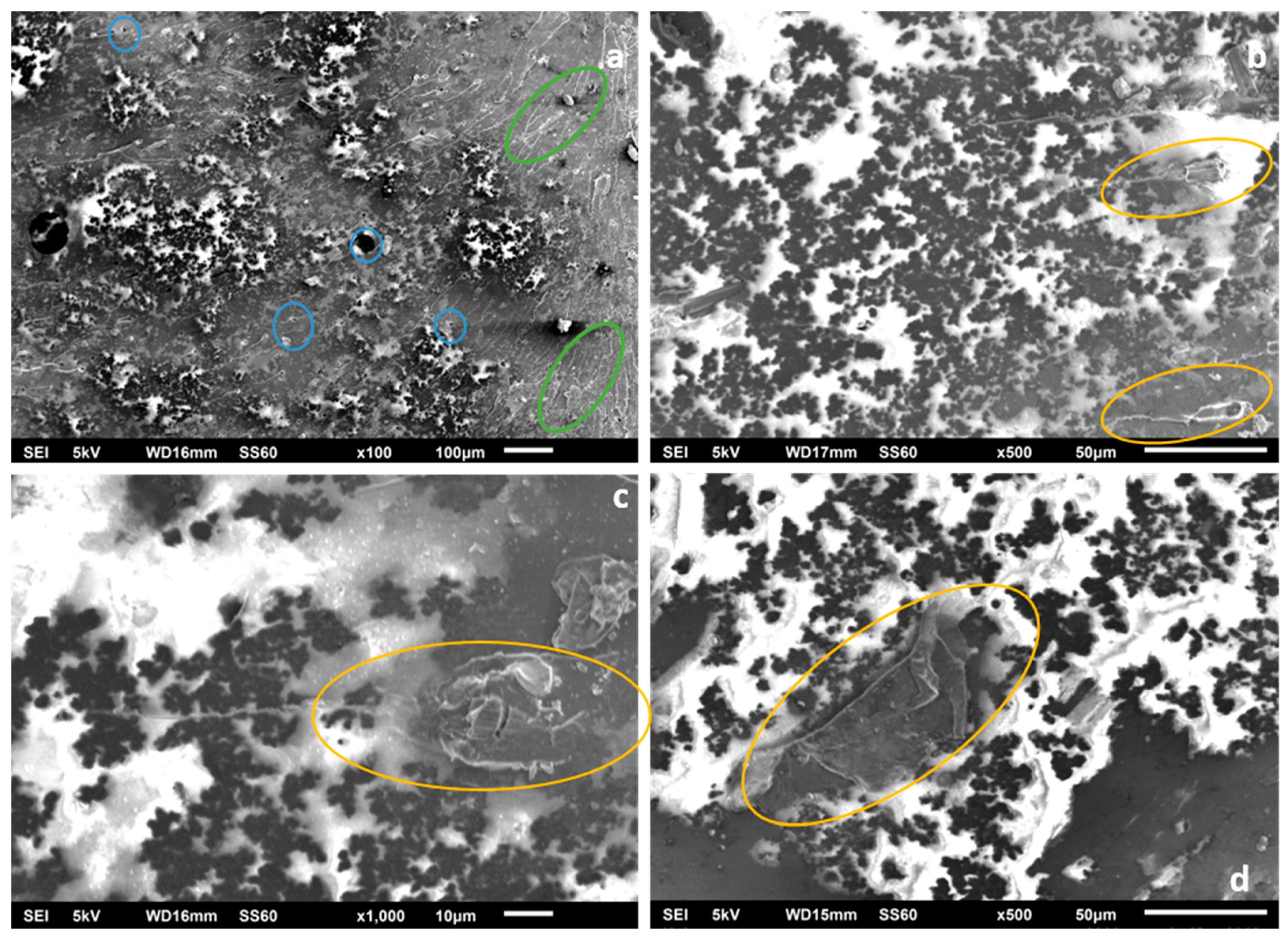 Applsci 09 03757 g008