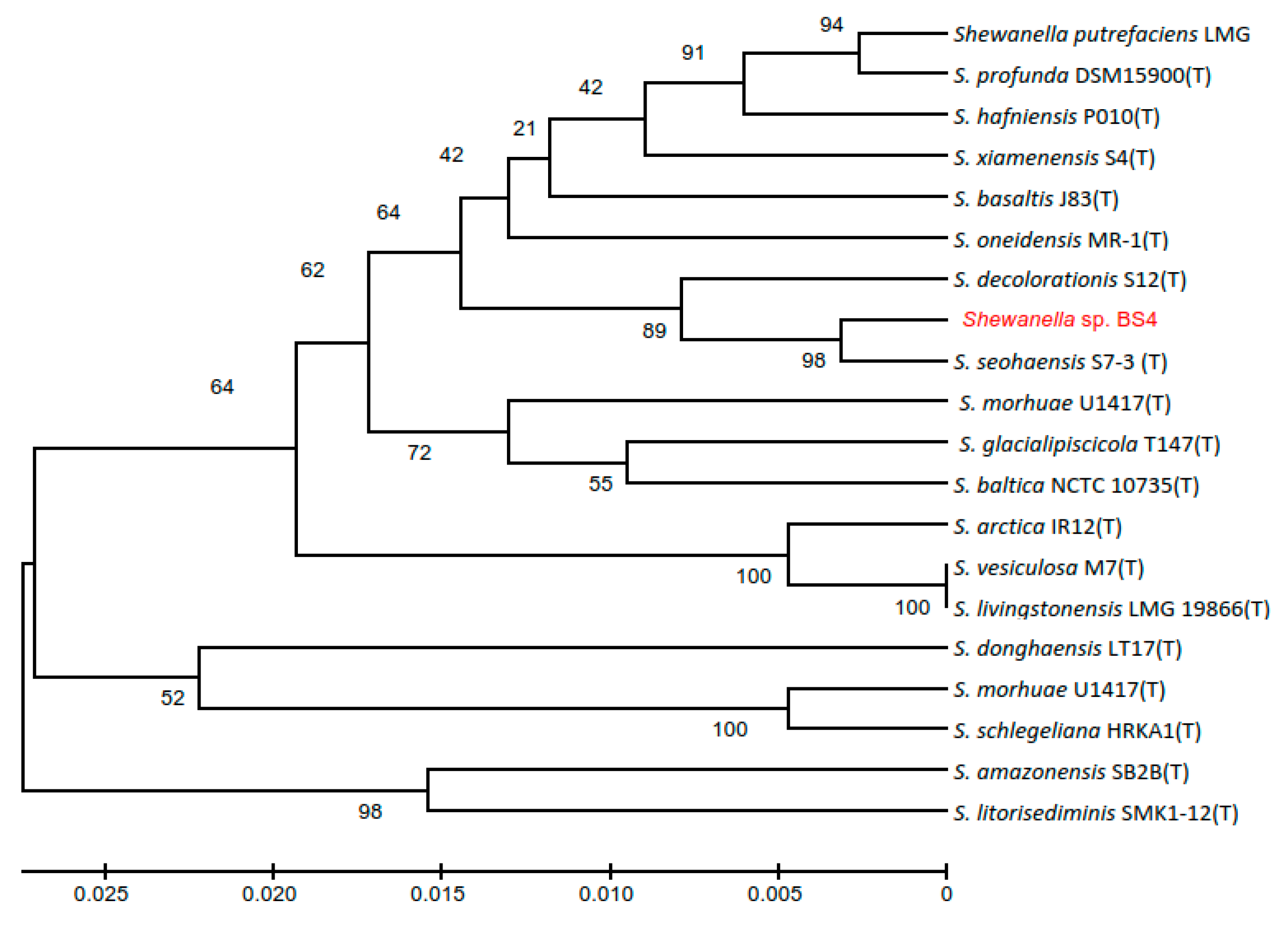 Applsci 09 03773 g001 Applsci 09 03773 g001