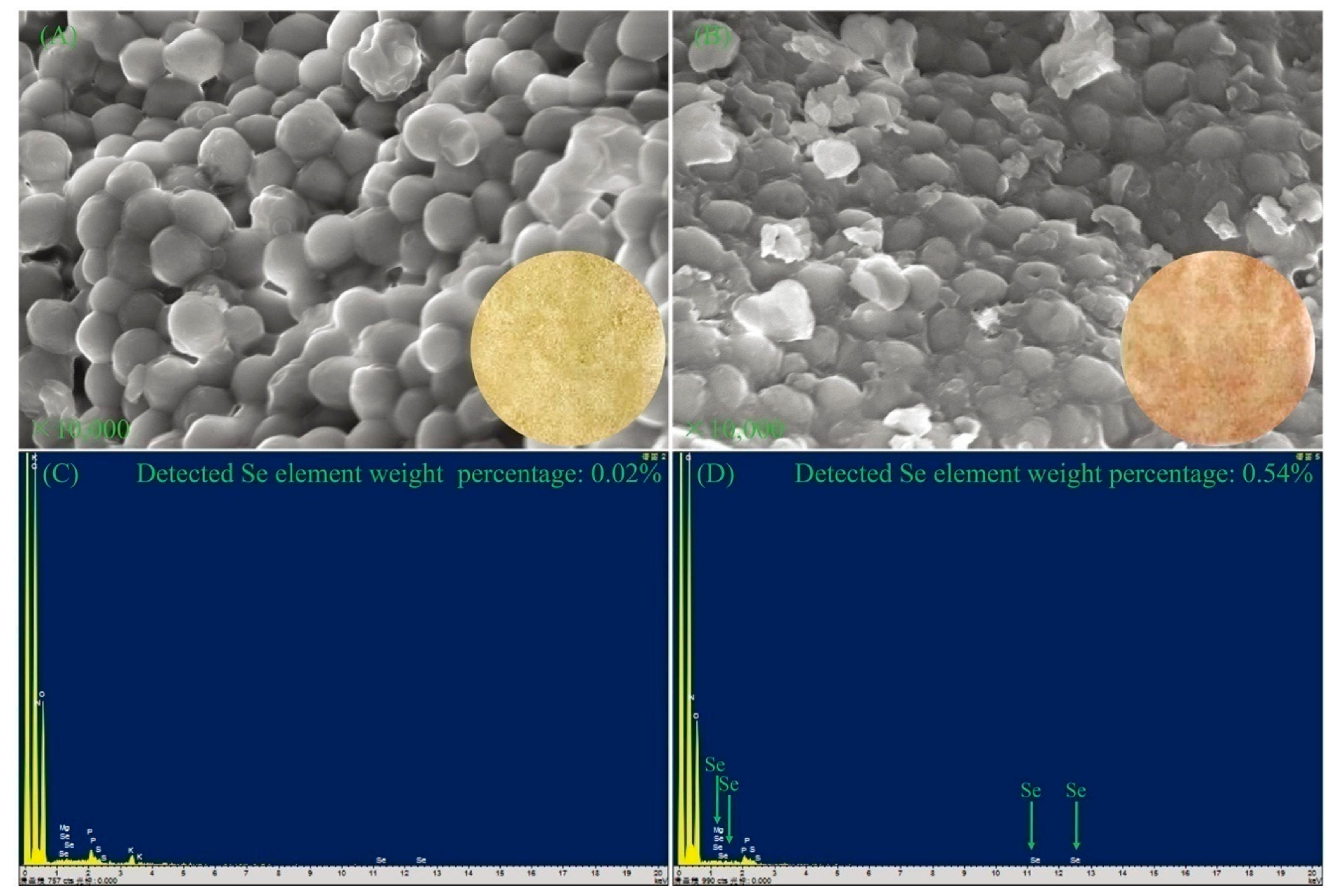 Applsci 09 03777 g003 550