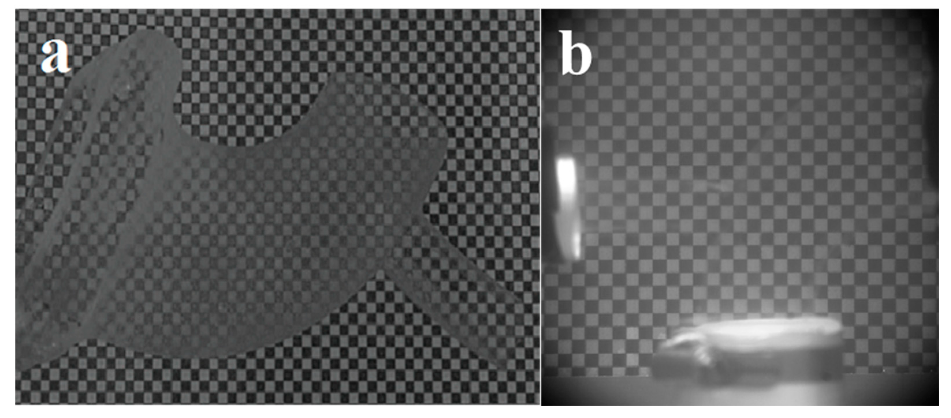 Applsci 09 03811 g005