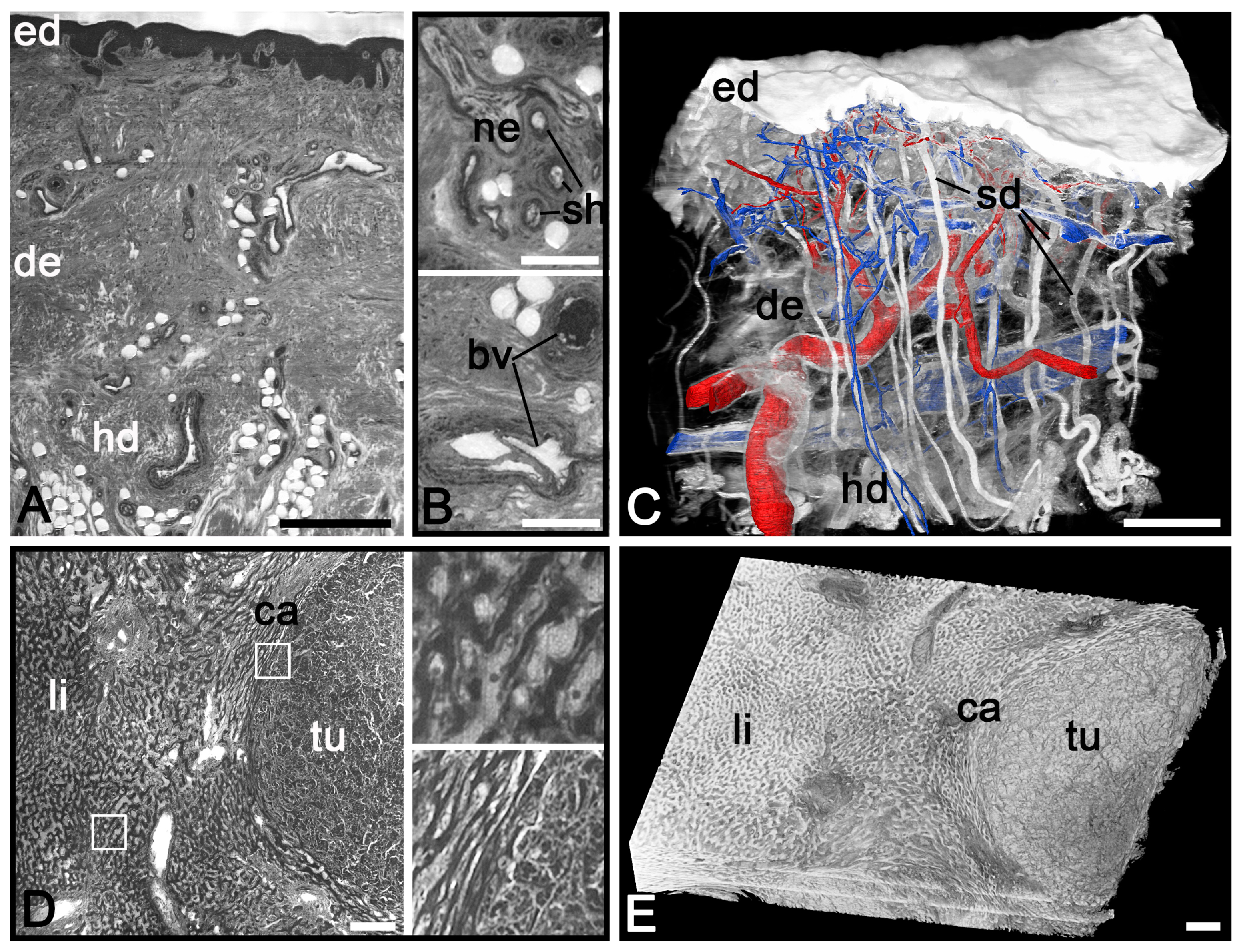 Applsci 09 03826 g003 Applsci 09 03826 g003