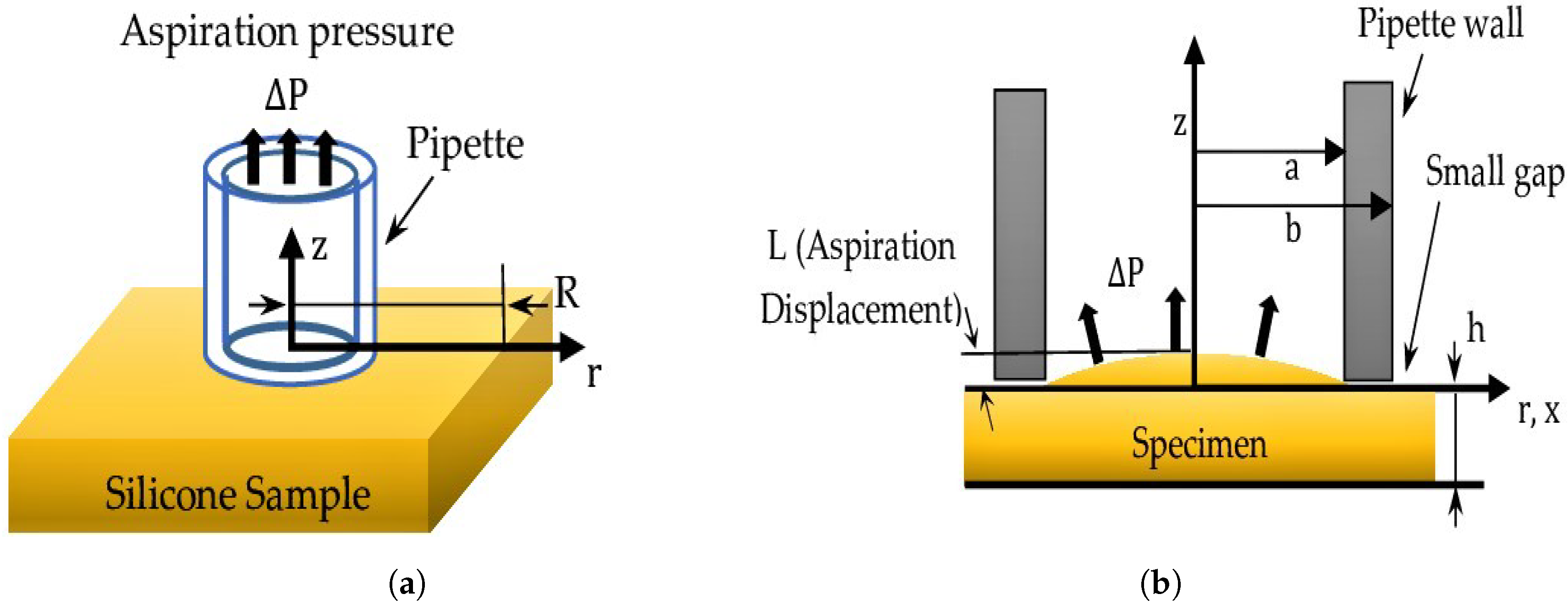 Applsci 09 03875 g002 Applsci 09 03875 g002