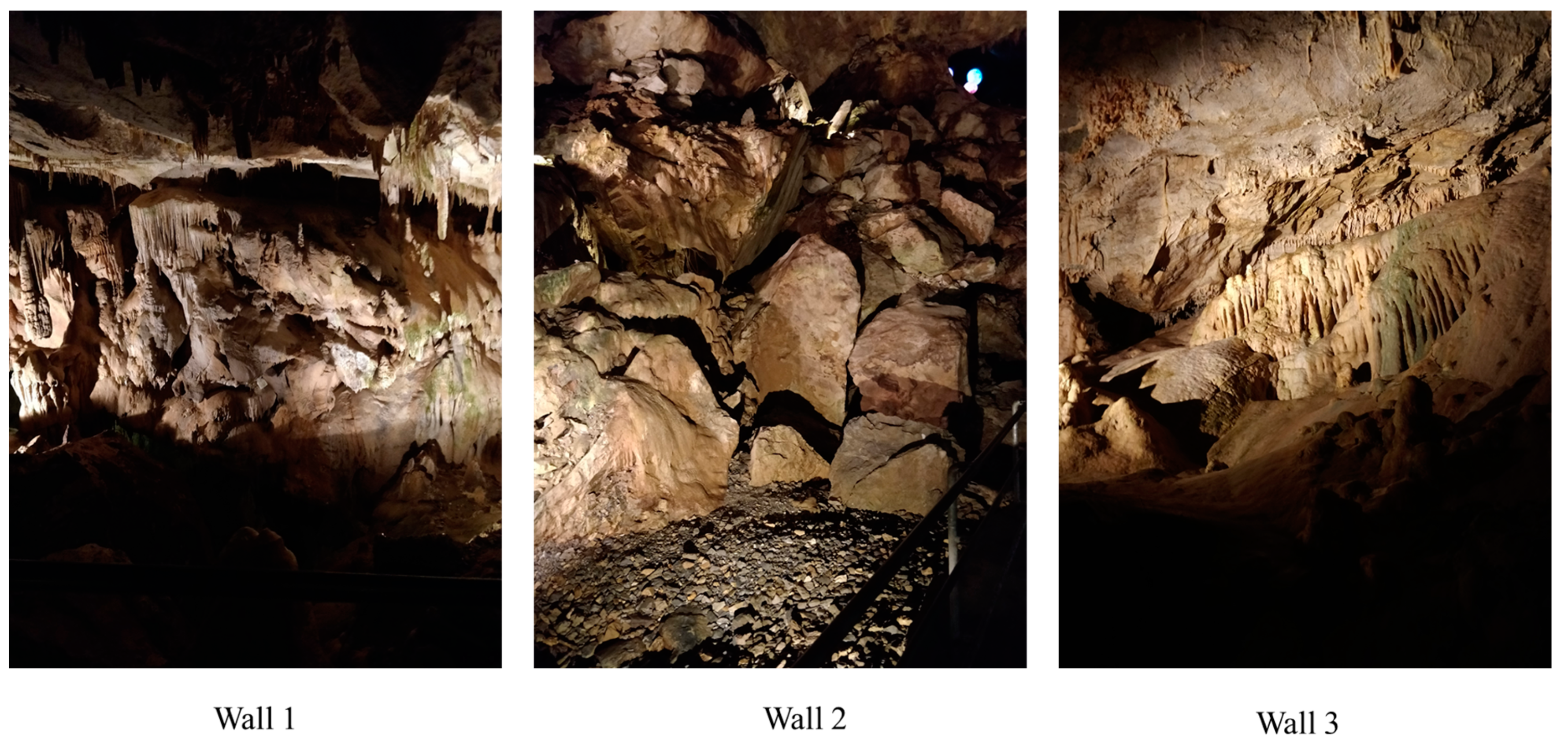 Applsci 09 03884 g002