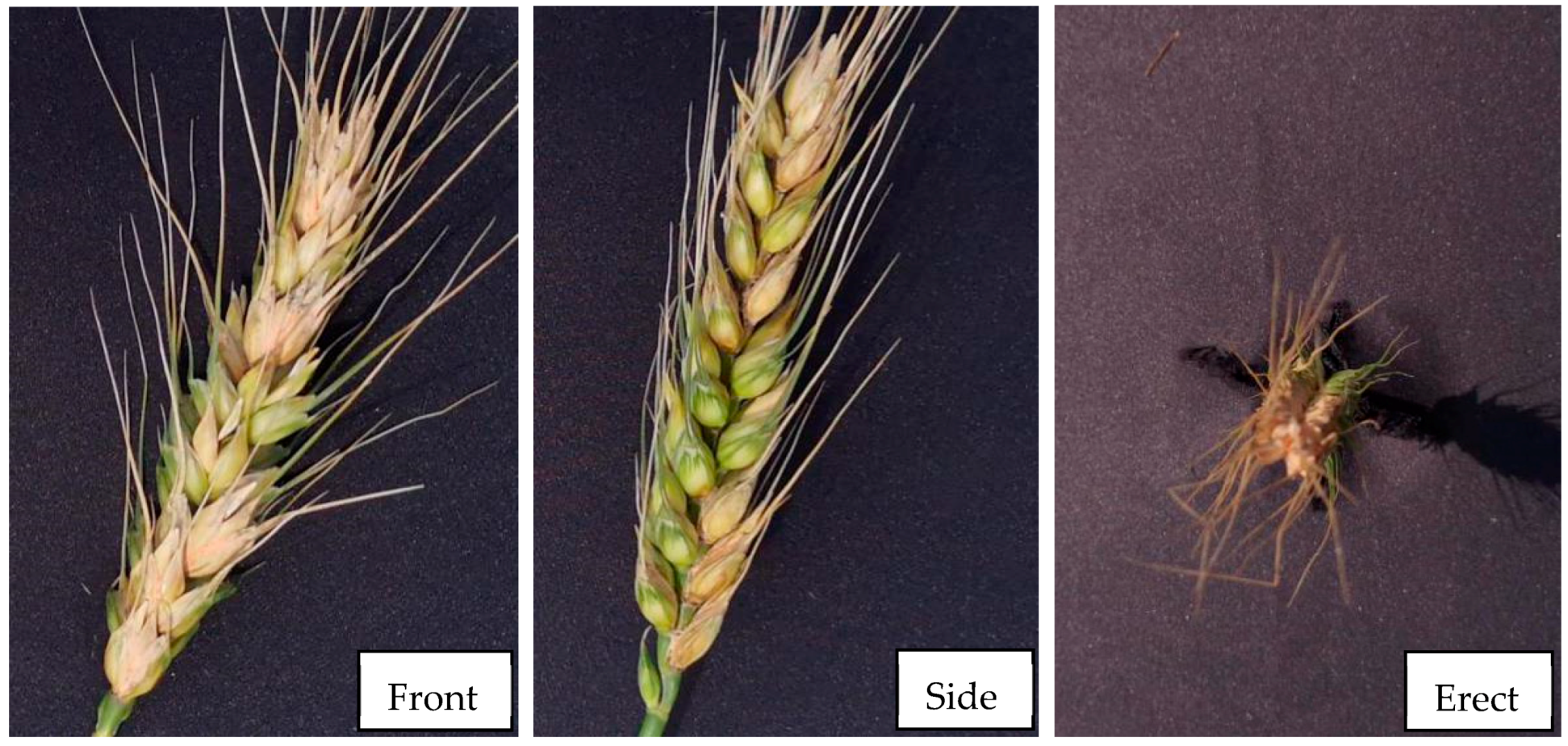 Applsci 09 03894 g003