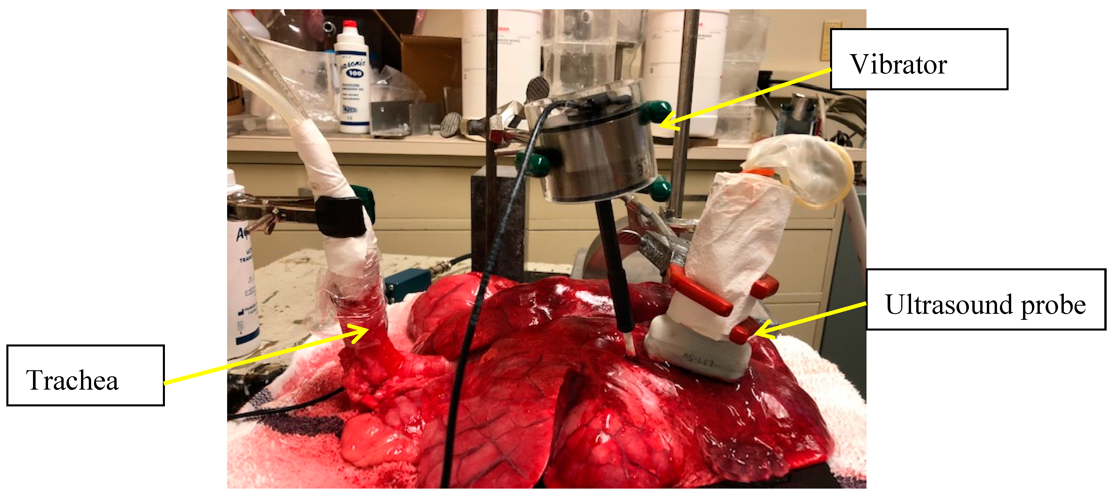 Applsci 09 03923 g001