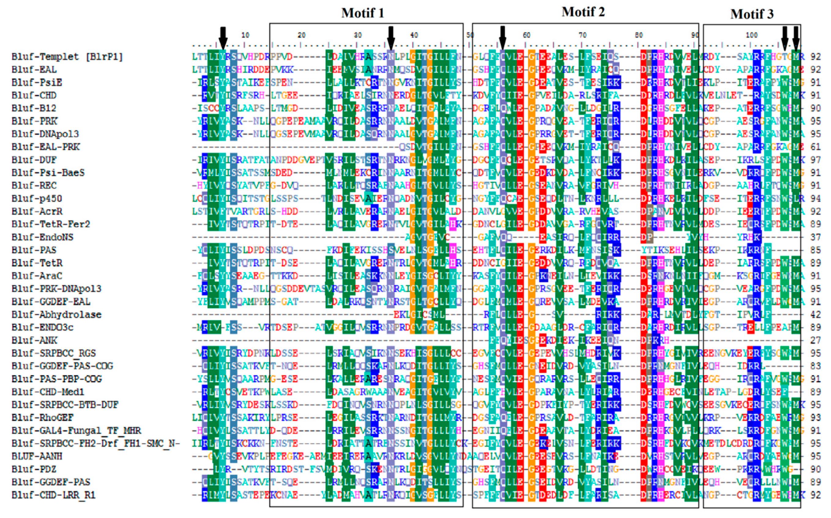 Applsci 09 03924 g002