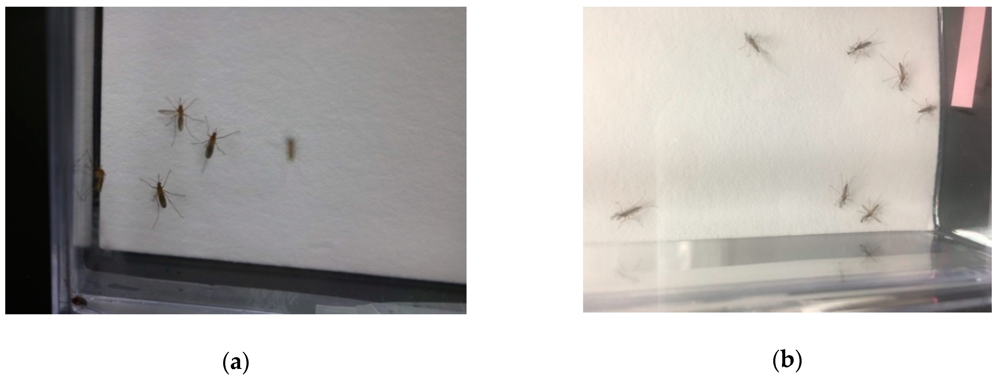 Applsci 09 03935 g001 550