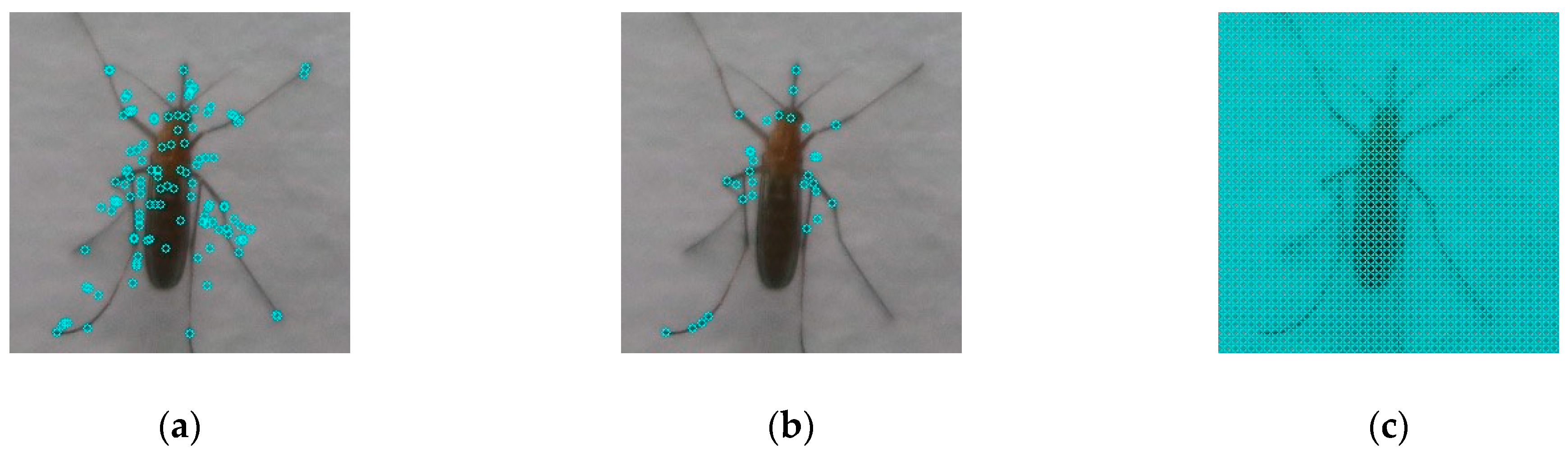 Applsci 09 03935 g005 550