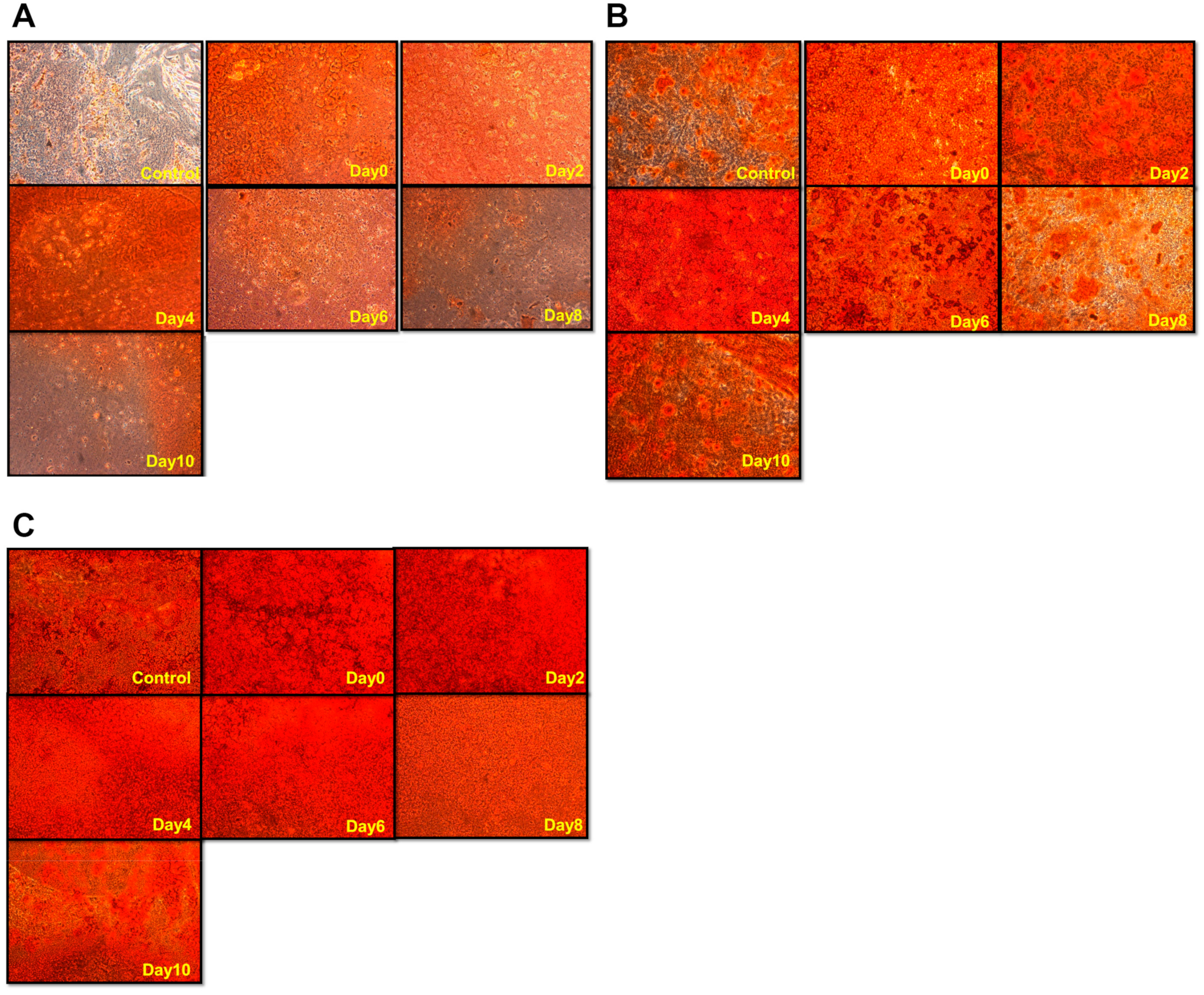 Applsci 09 03938 g004 Applsci 09 03938 g004