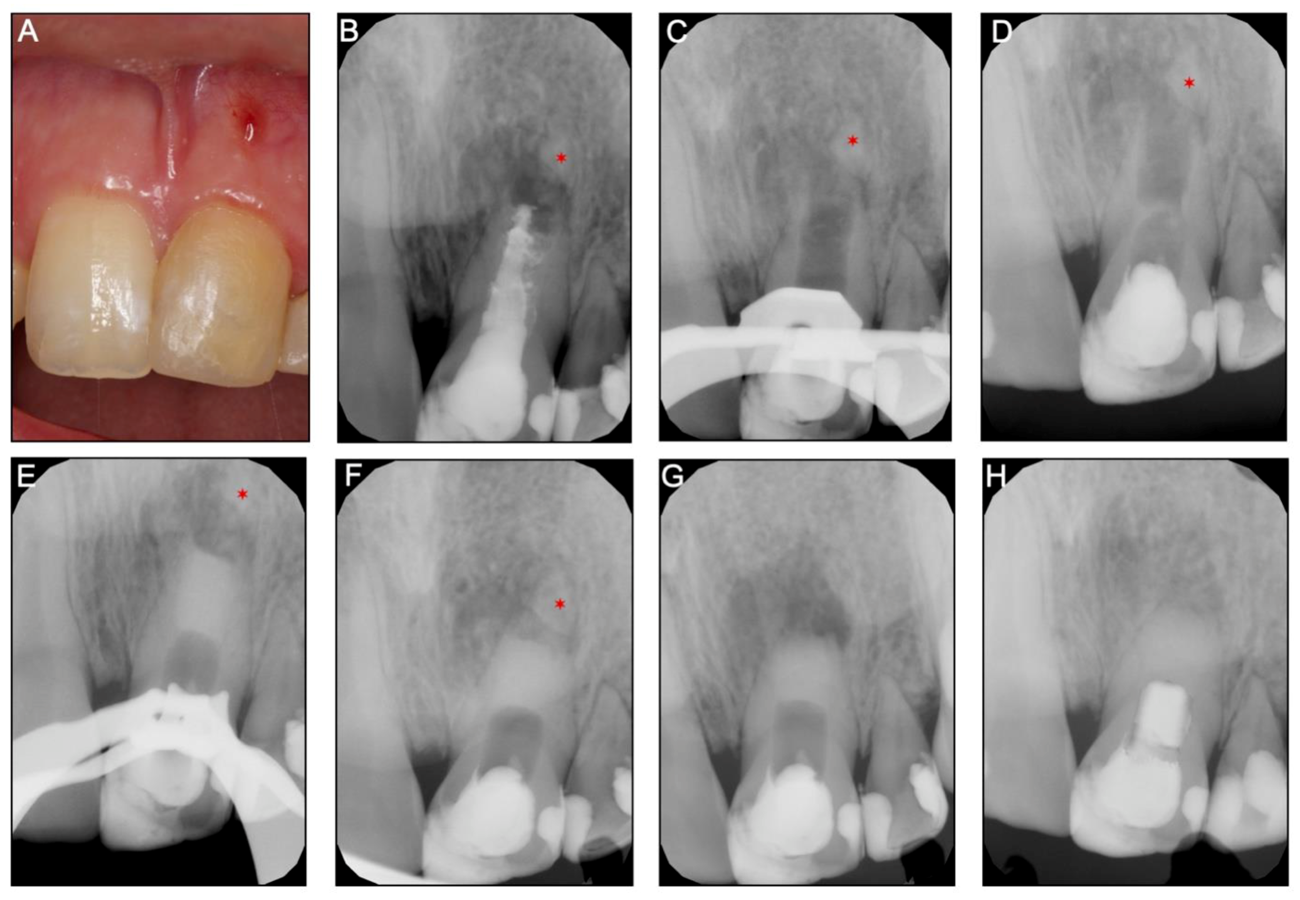 Applsci 09 03942 g003