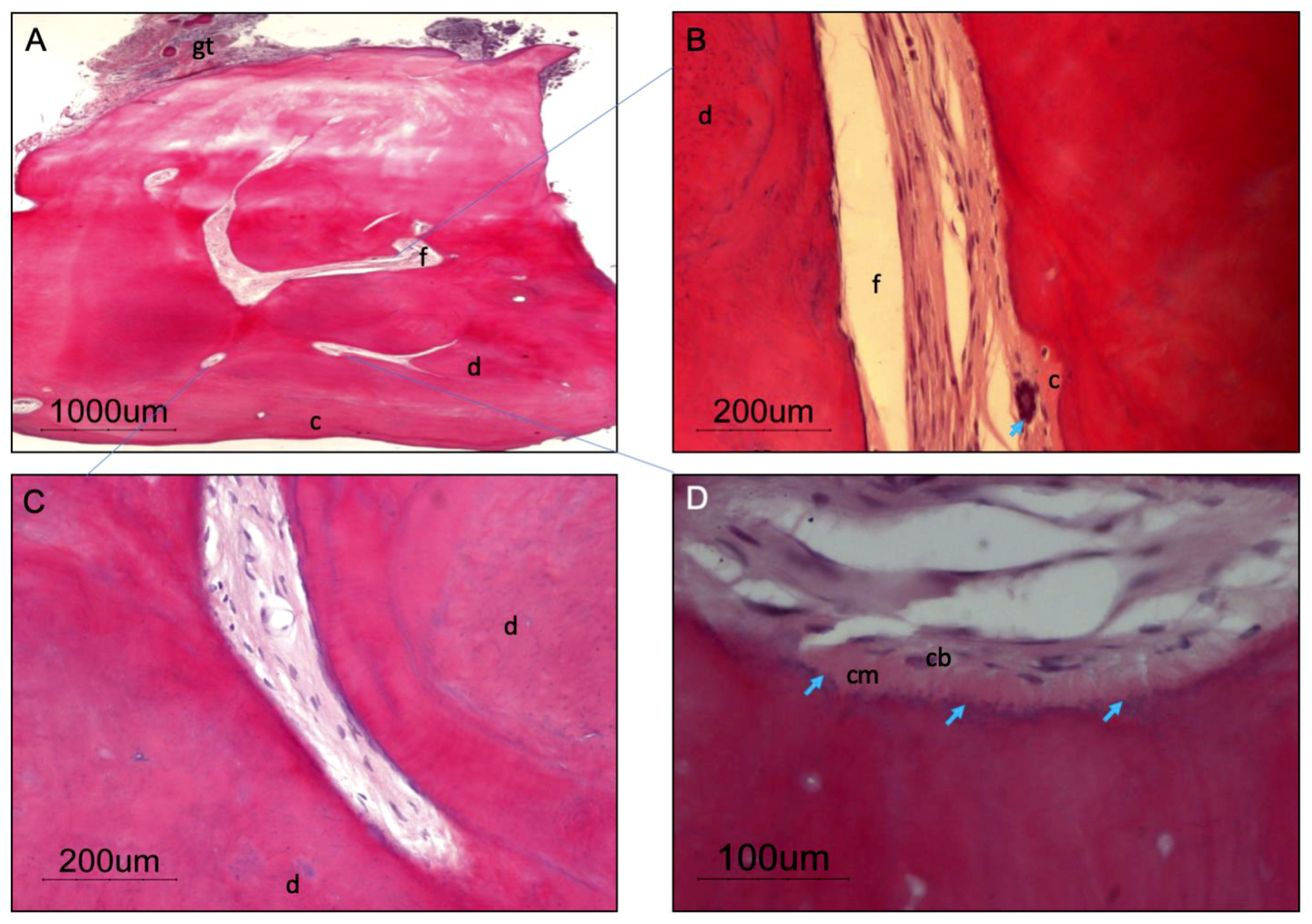 Applsci 09 03942 g004