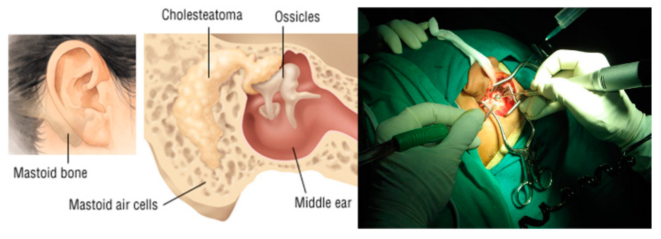 Applsci 09 03955 g018