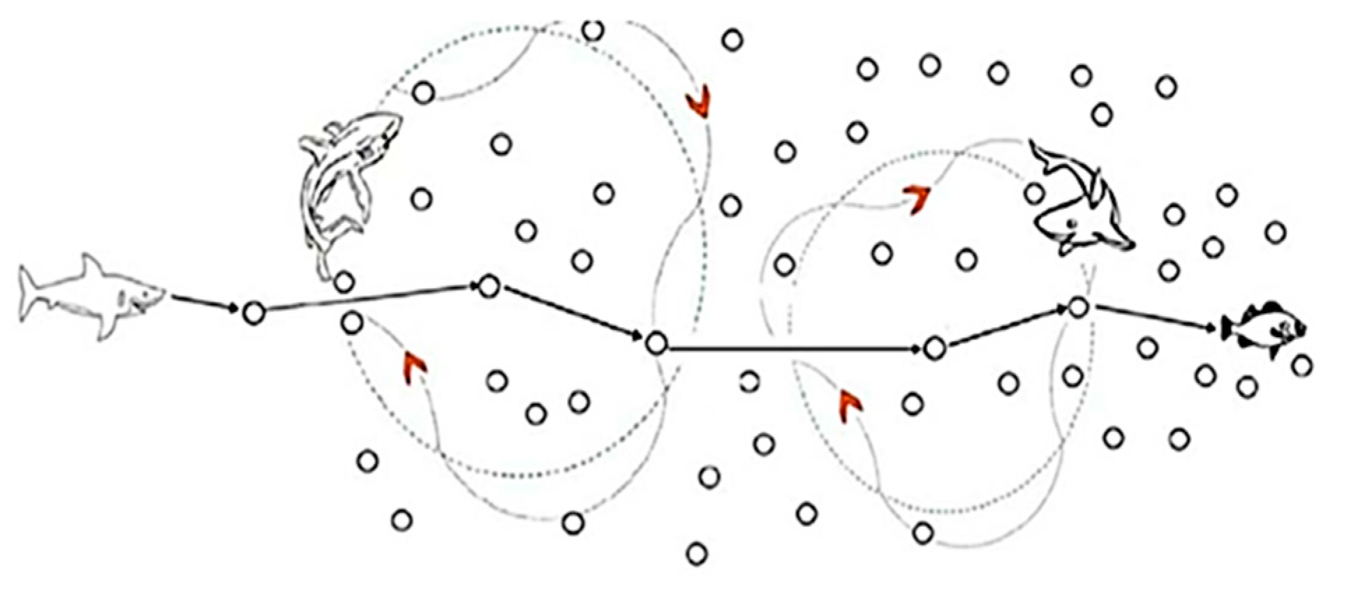 Applsci 09 03960 g002