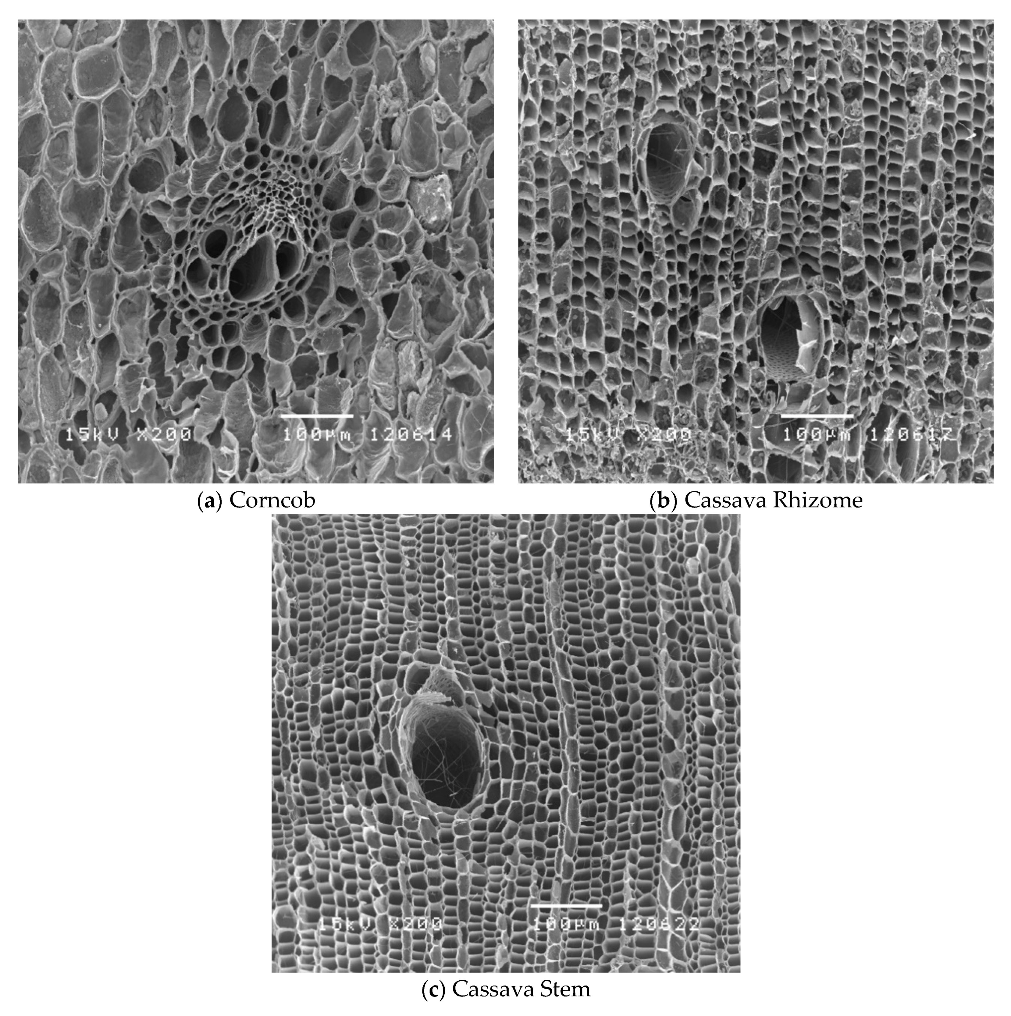 Applsci 09 03980 g002