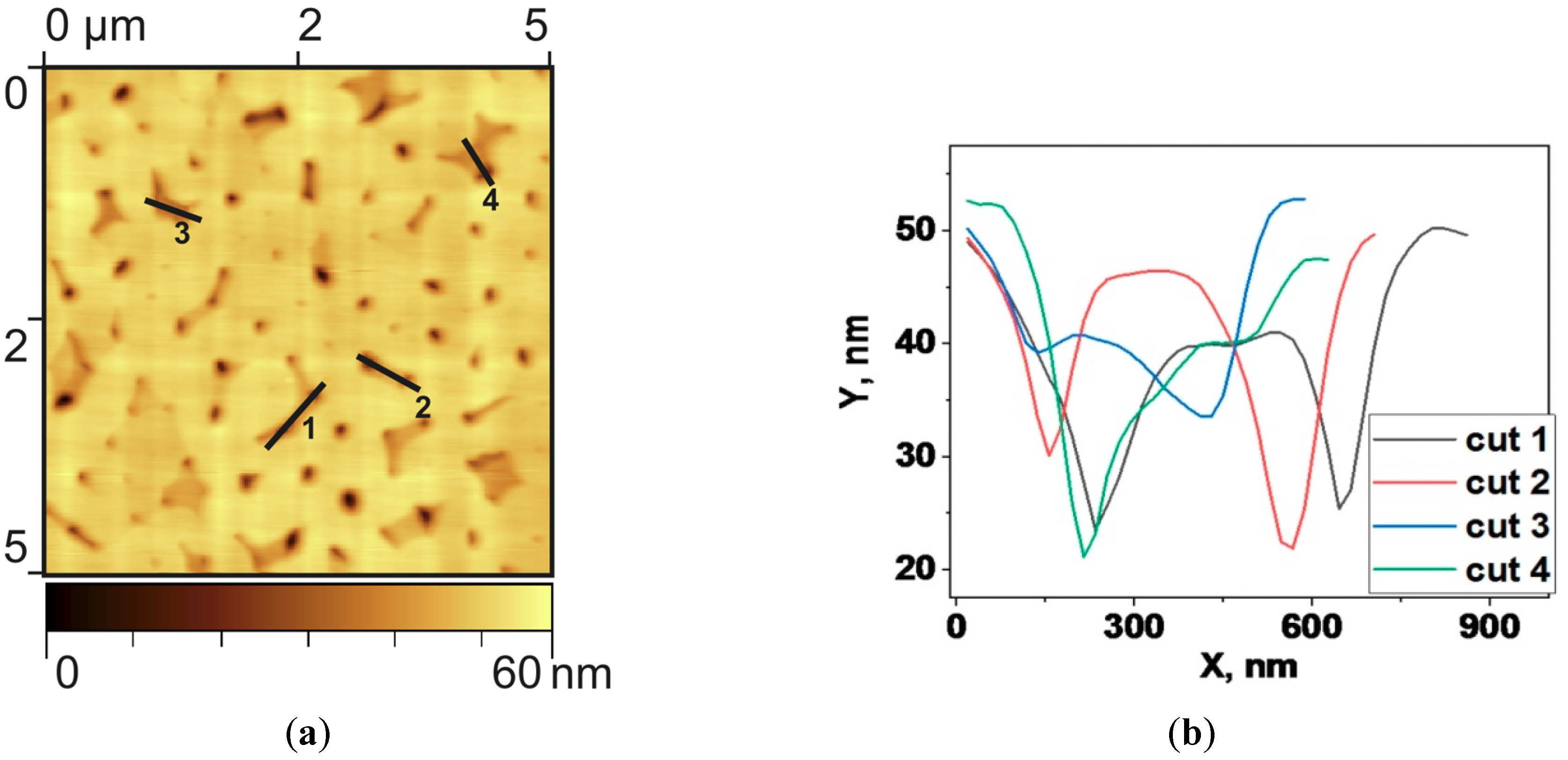 Applsci 09 03988 g004