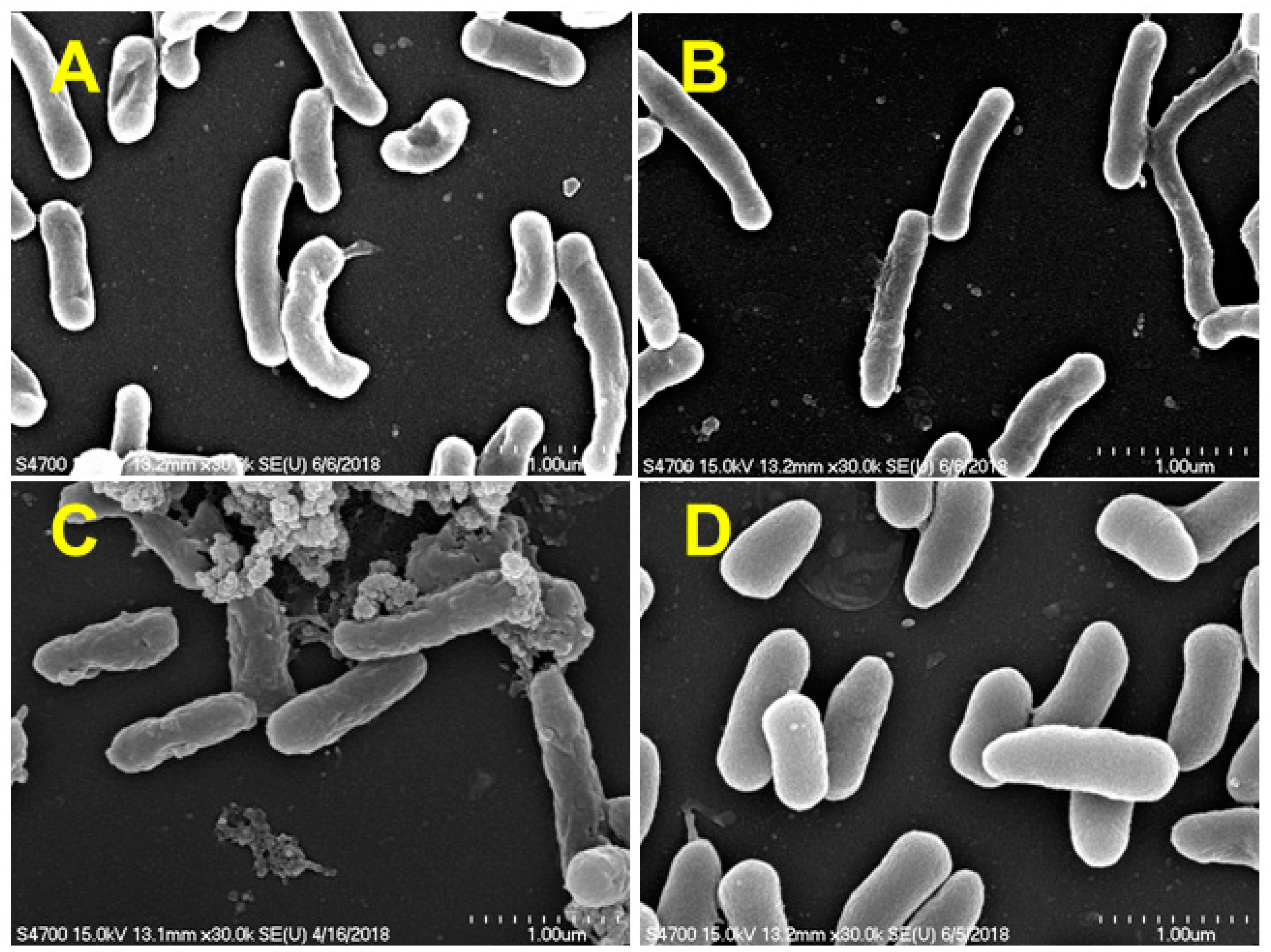 Applsci 09 04000 g006