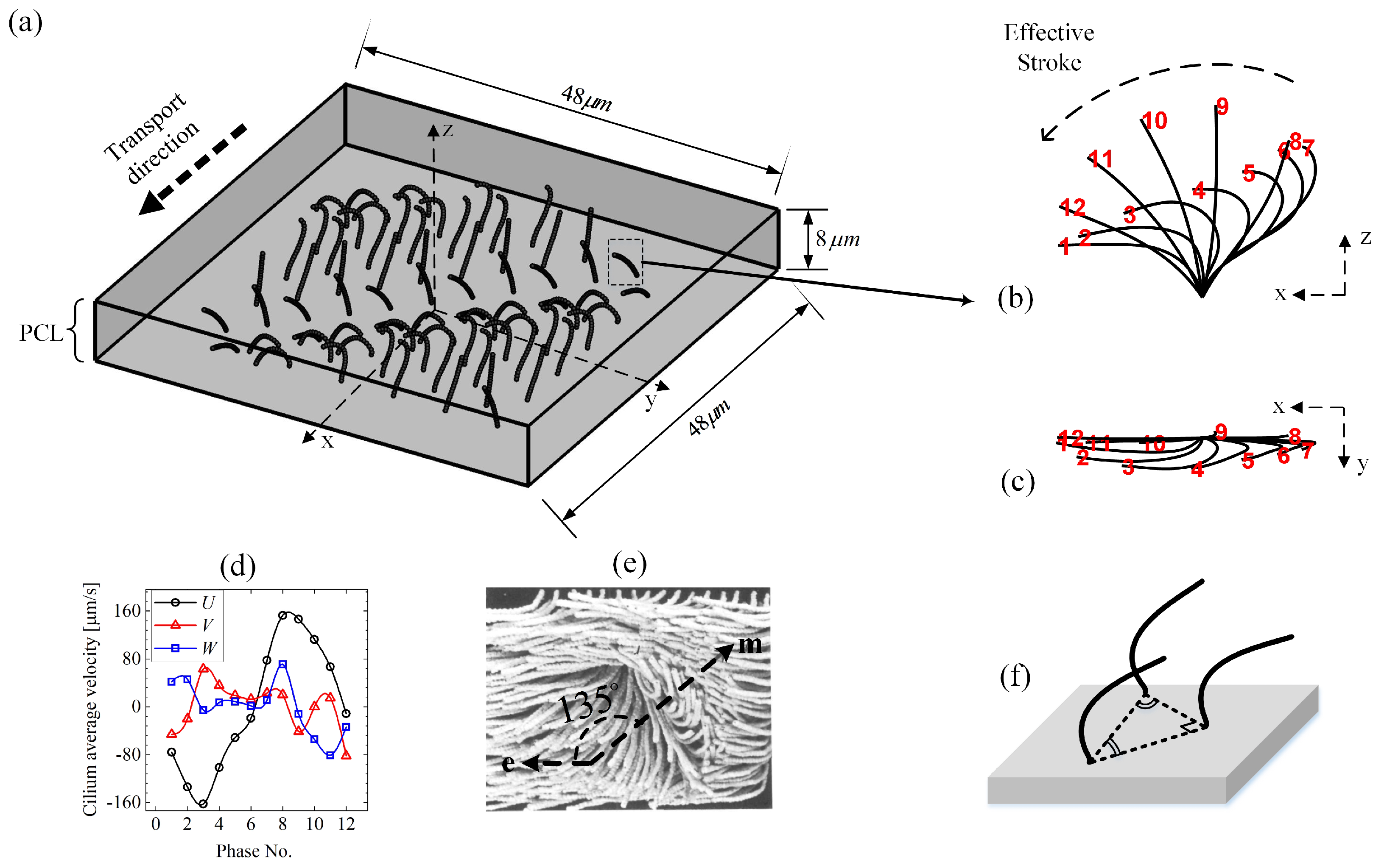 Applsci 09 04033 g001 Applsci 09 04033 g001