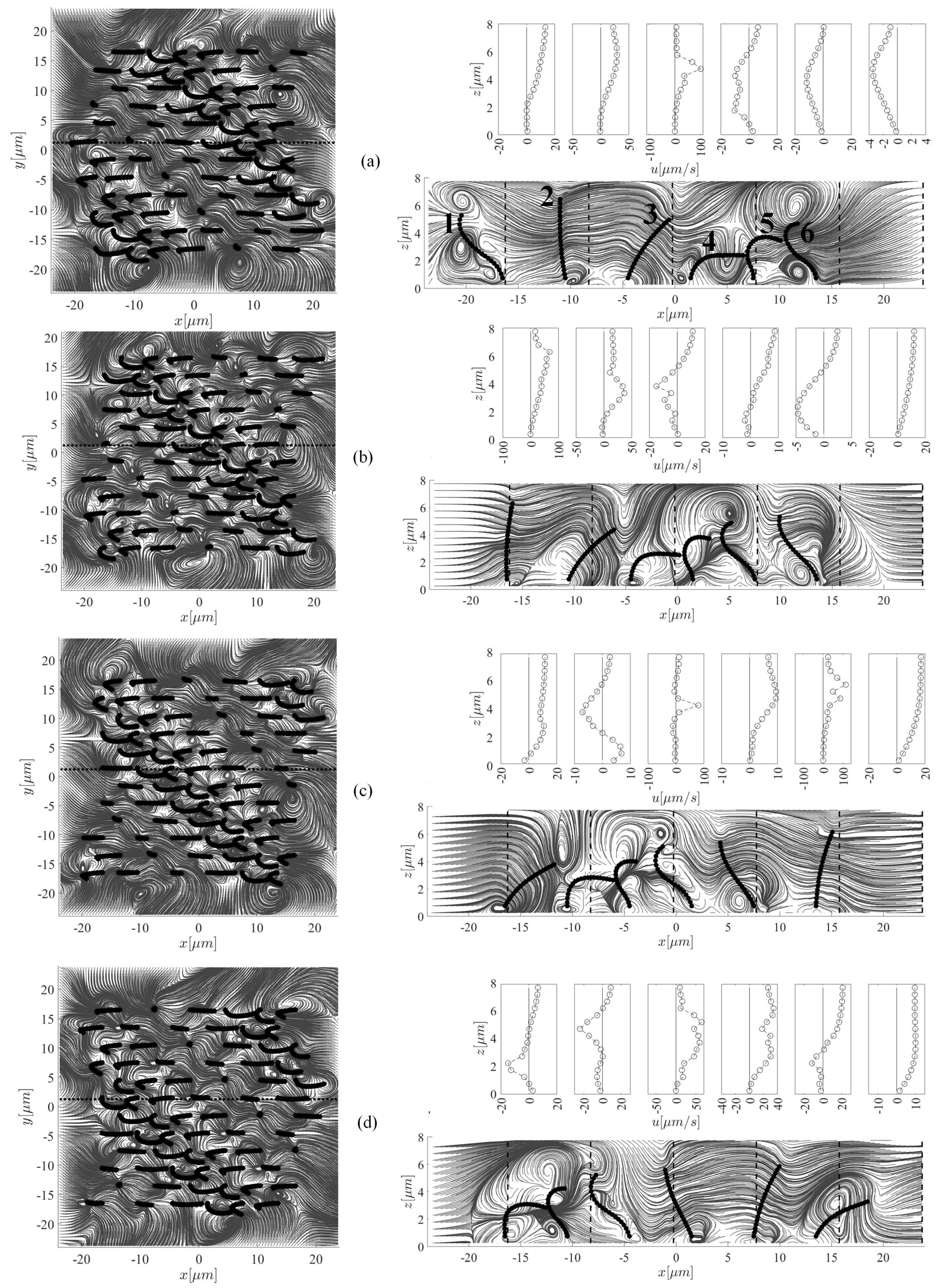 Applsci 09 04033 g006a Applsci 09 04033 g006a