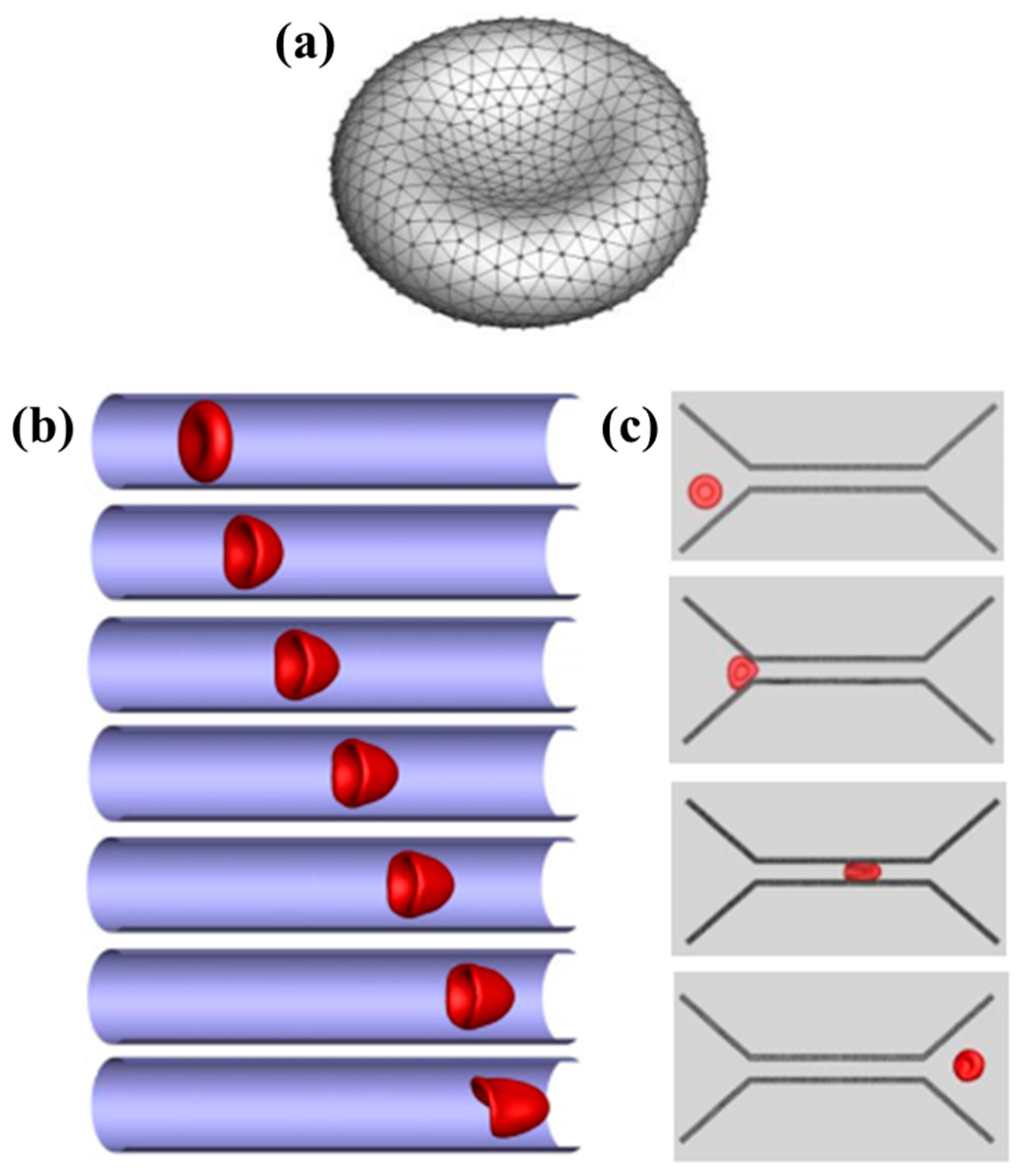 Applsci 09 04041 g007 Applsci 09 04041 g007