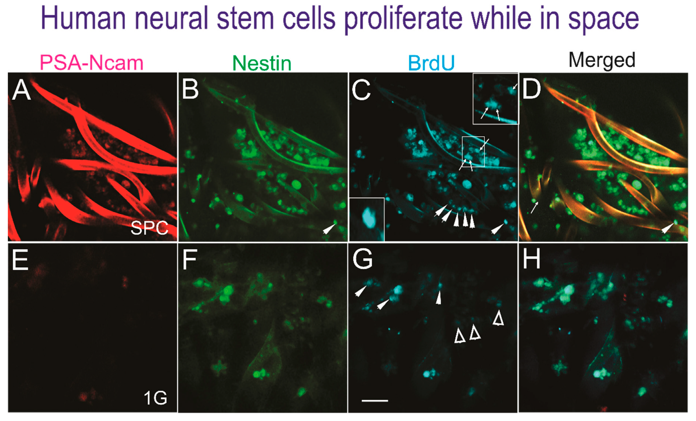 Applsci 09 04042 g002