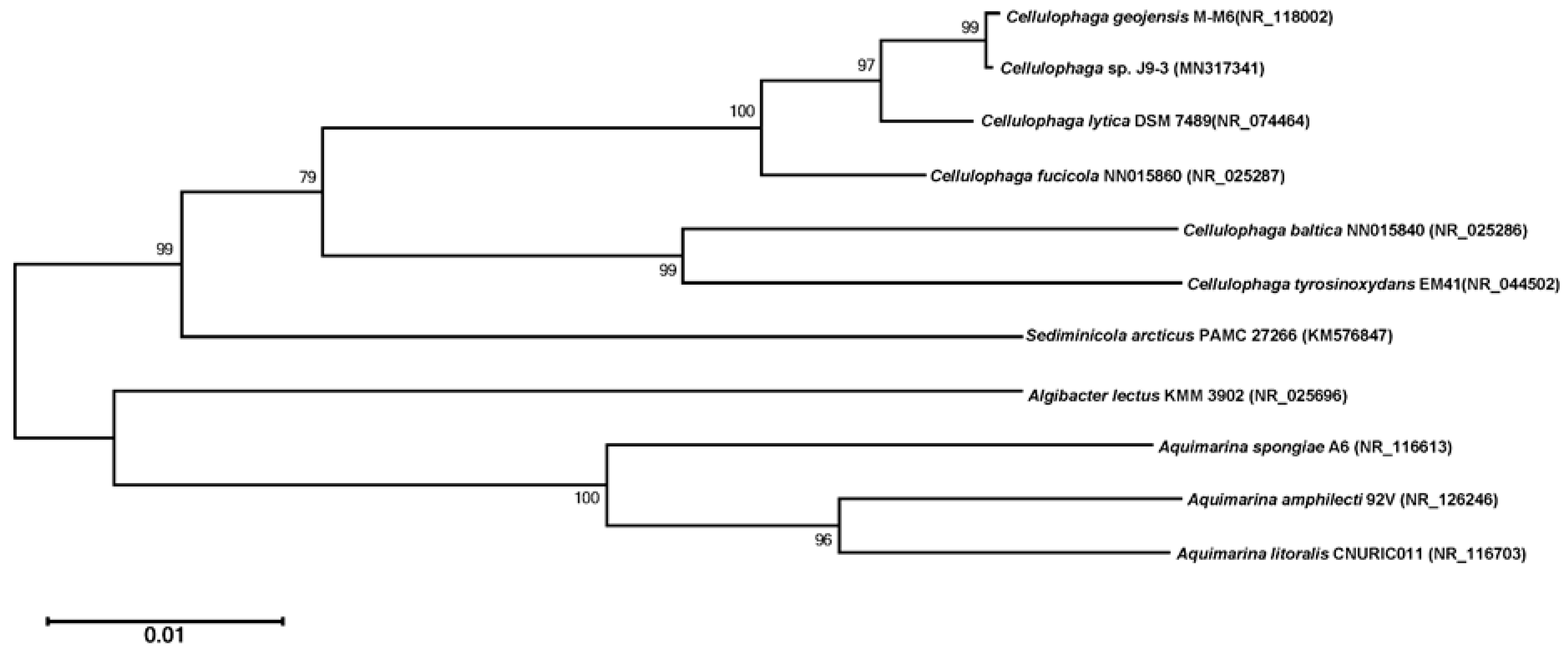 Applsci 09 04061 g002