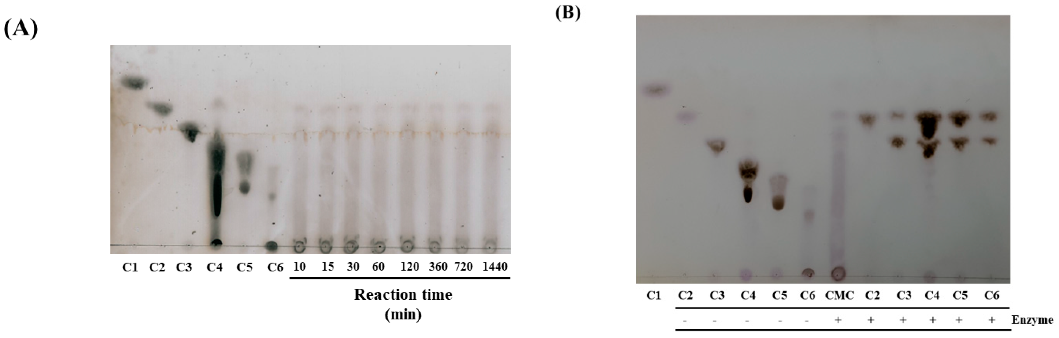 Applsci 09 04061 g005