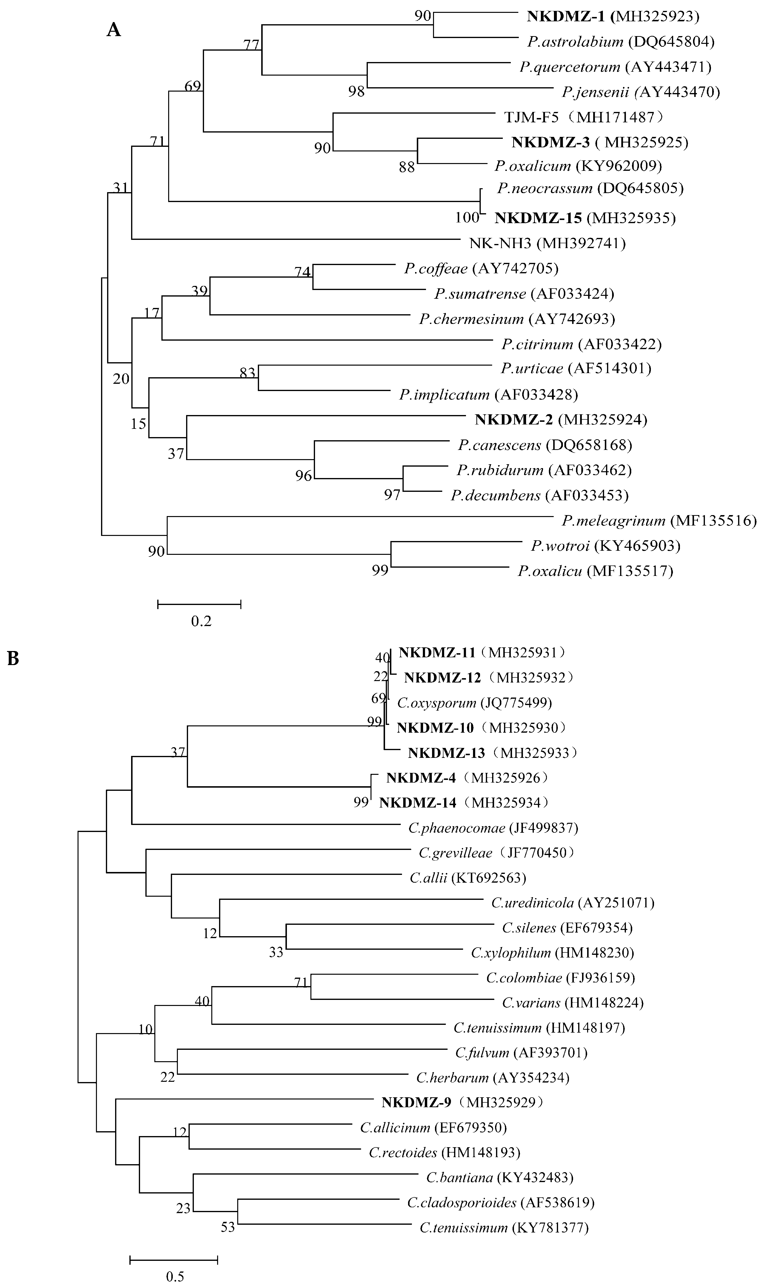 Applsci 09 04129 g003 Applsci 09 04129 g003