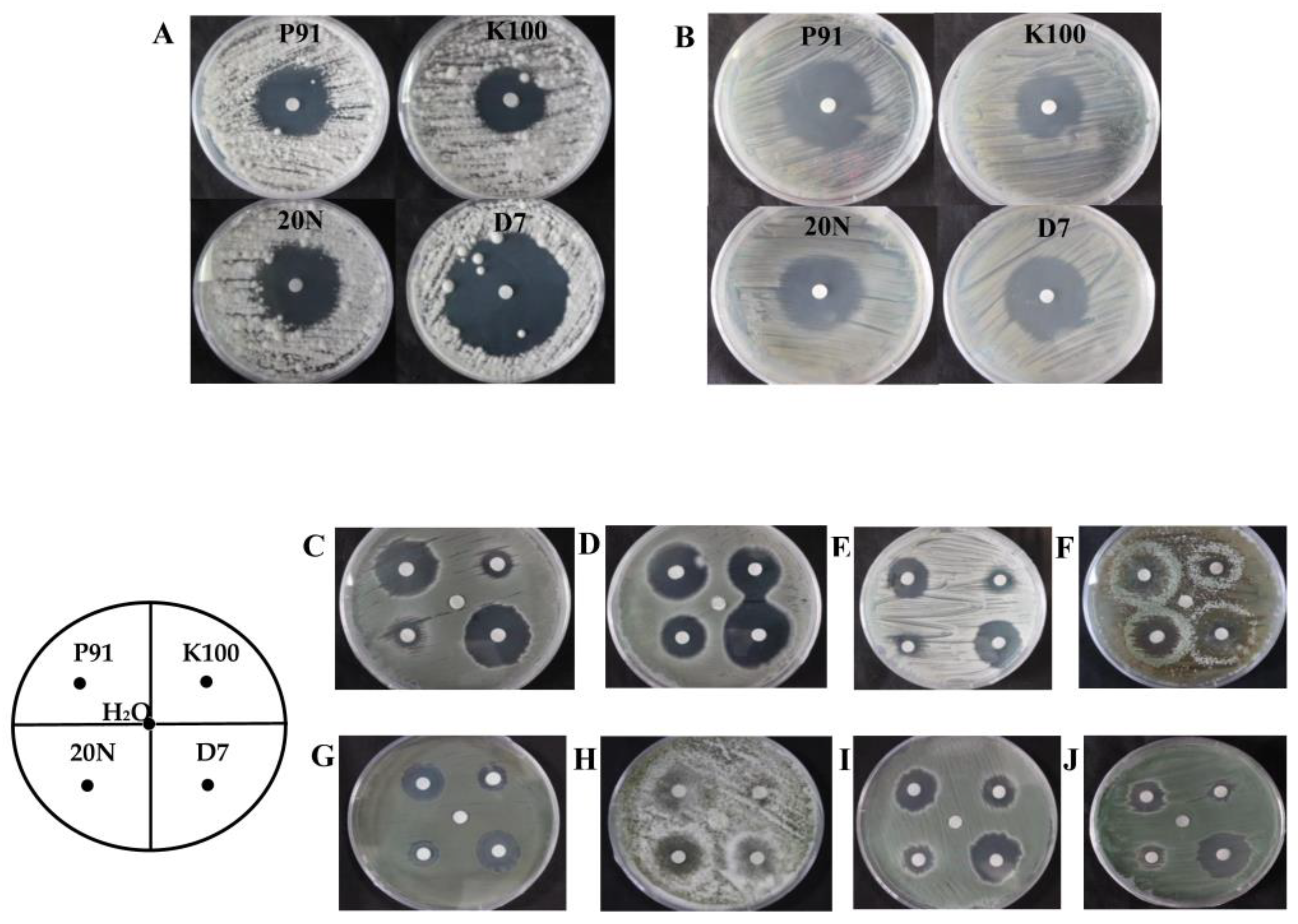 Applsci 09 04129 g005 Applsci 09 04129 g005