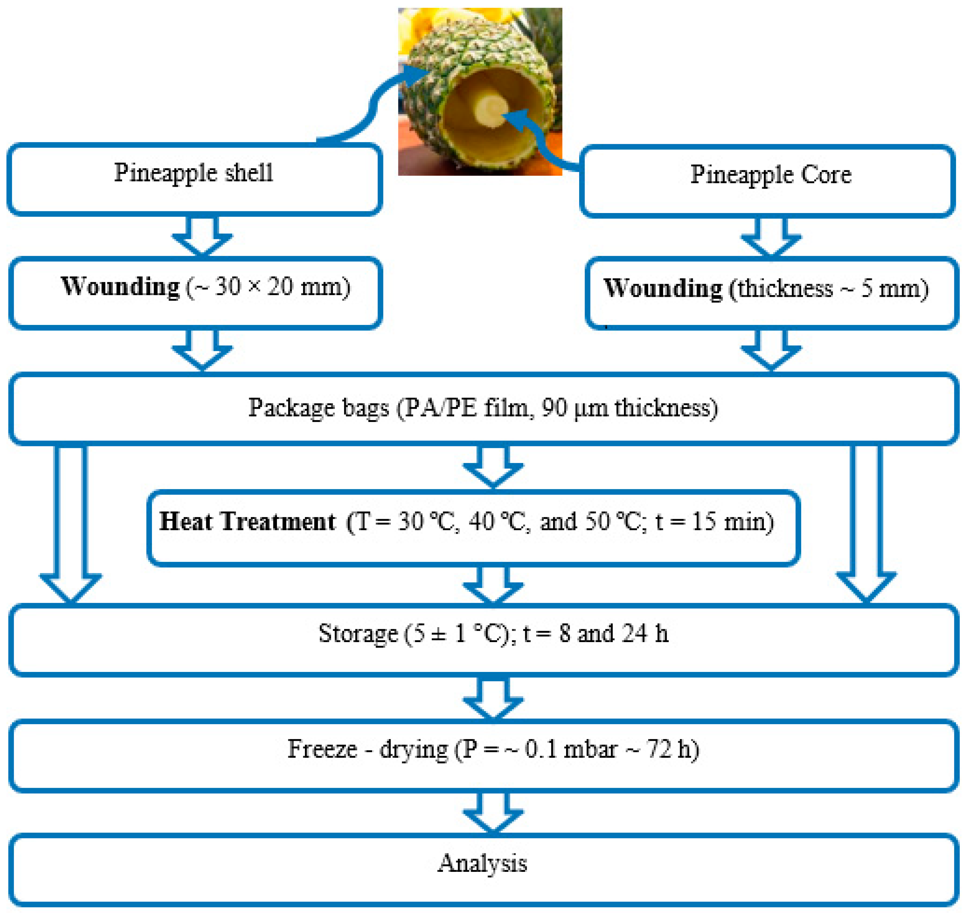 Applsci 09 04141 g001