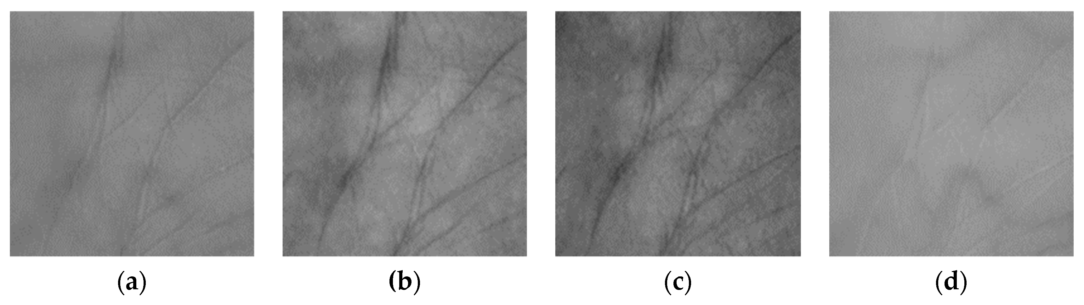 Applsci 09 04178 g008 Applsci 09 04178 g008