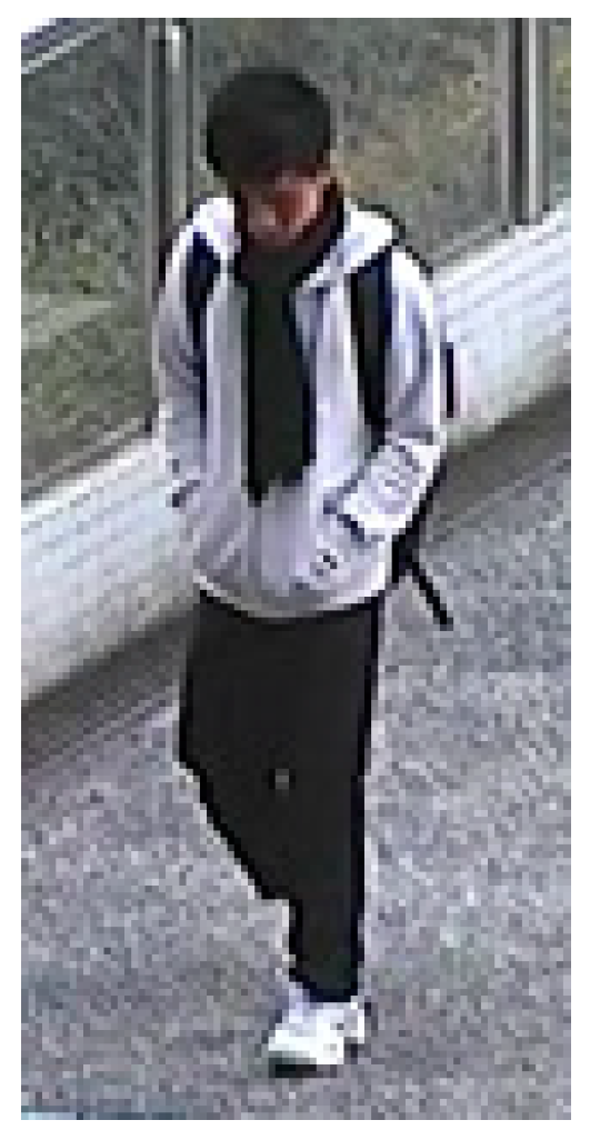 Applsci 09 04182 g002