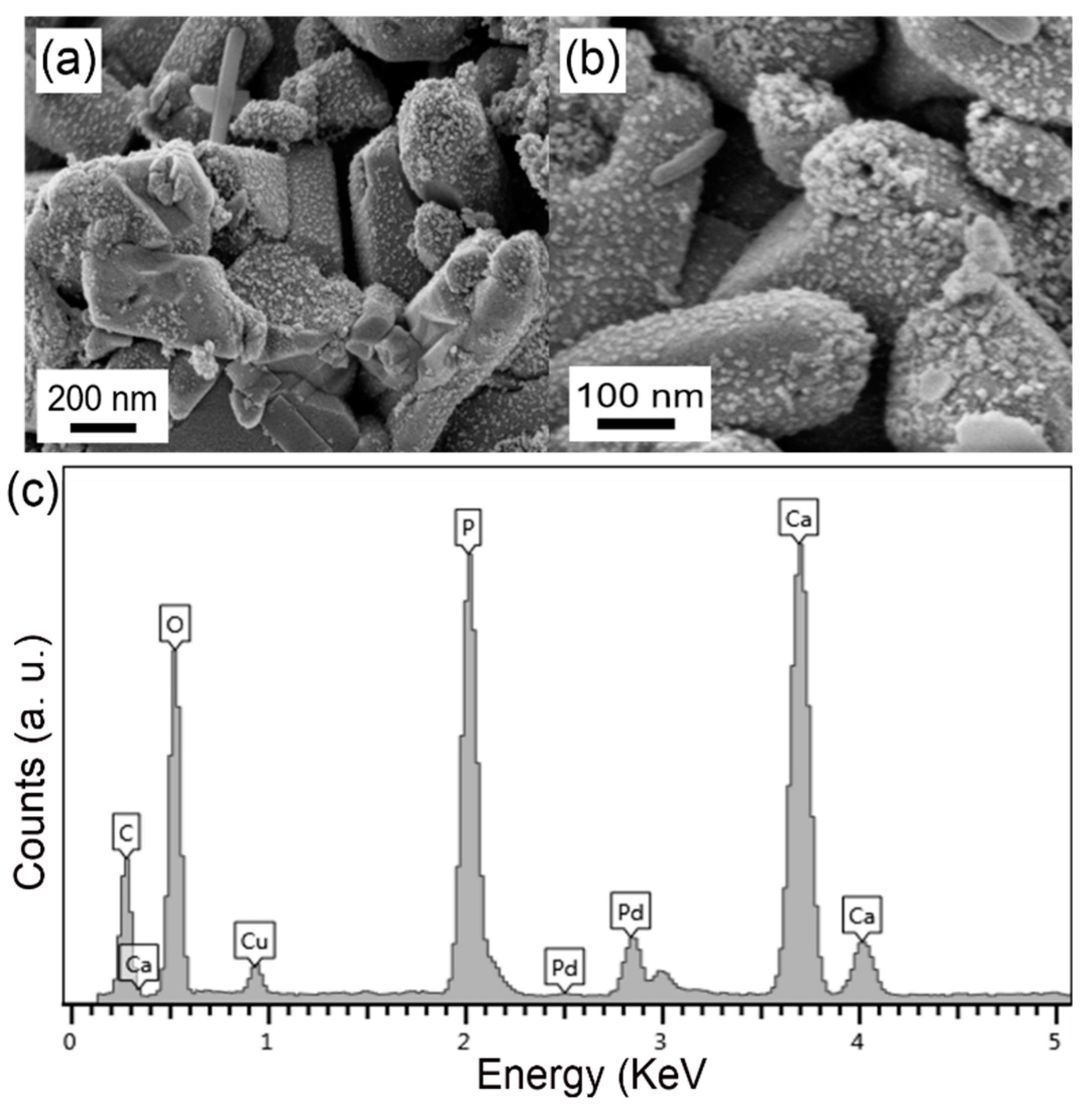 Applsci 09 04183 g003