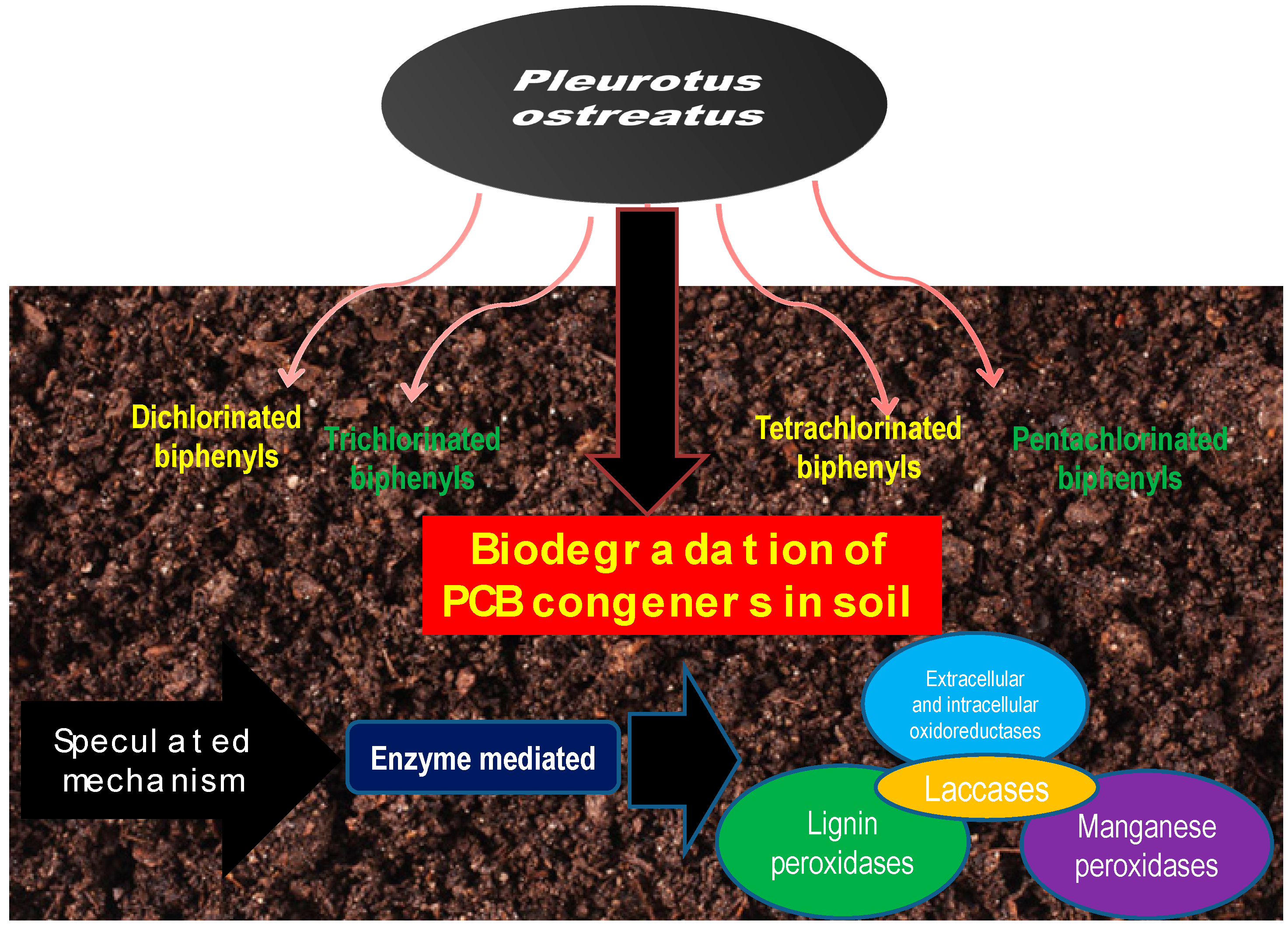 Applsci 09 04185 g001 Applsci 09 04185 g001