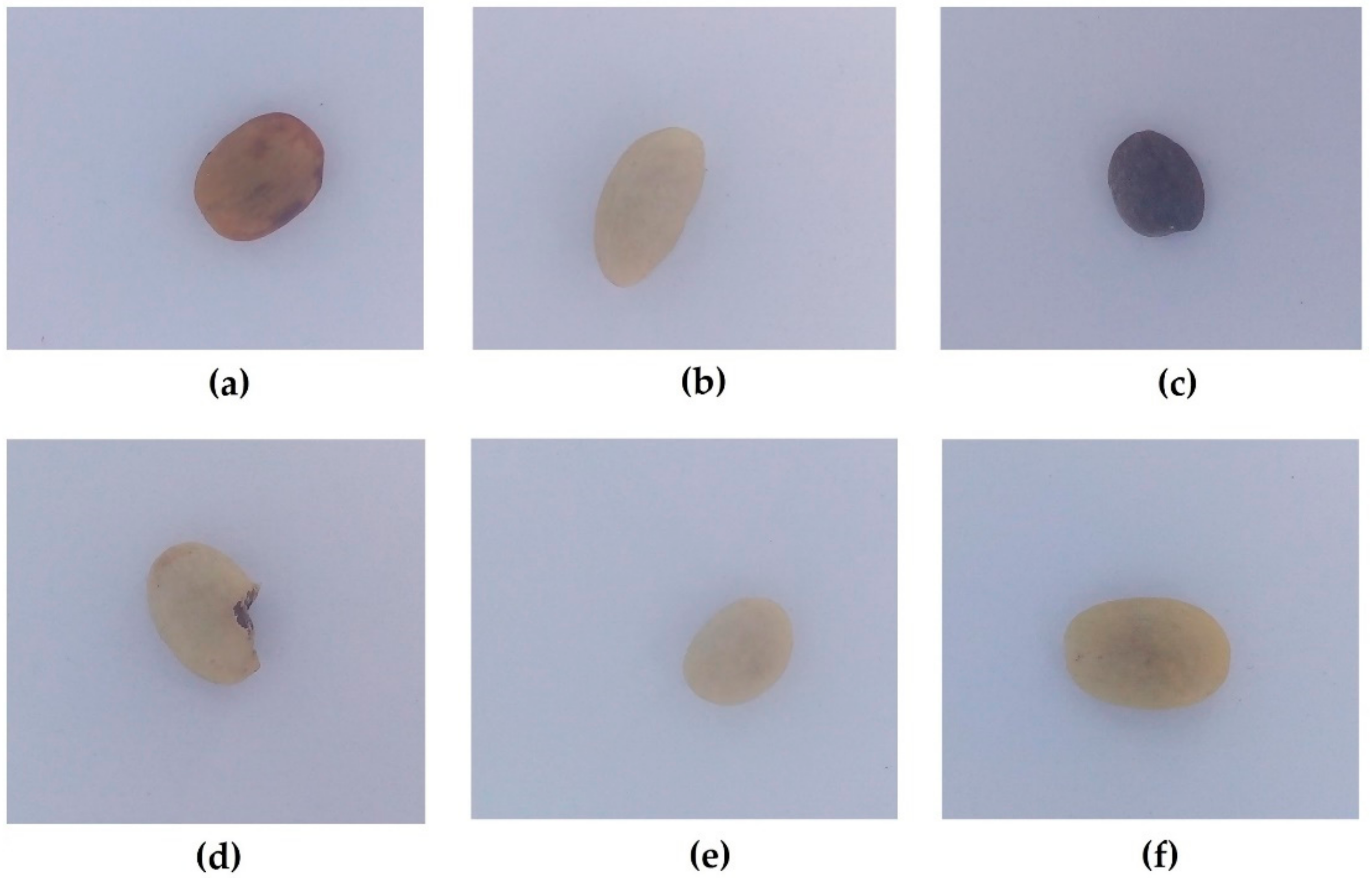 Applied Sciences Free FullText Quality and Defect Inspection of