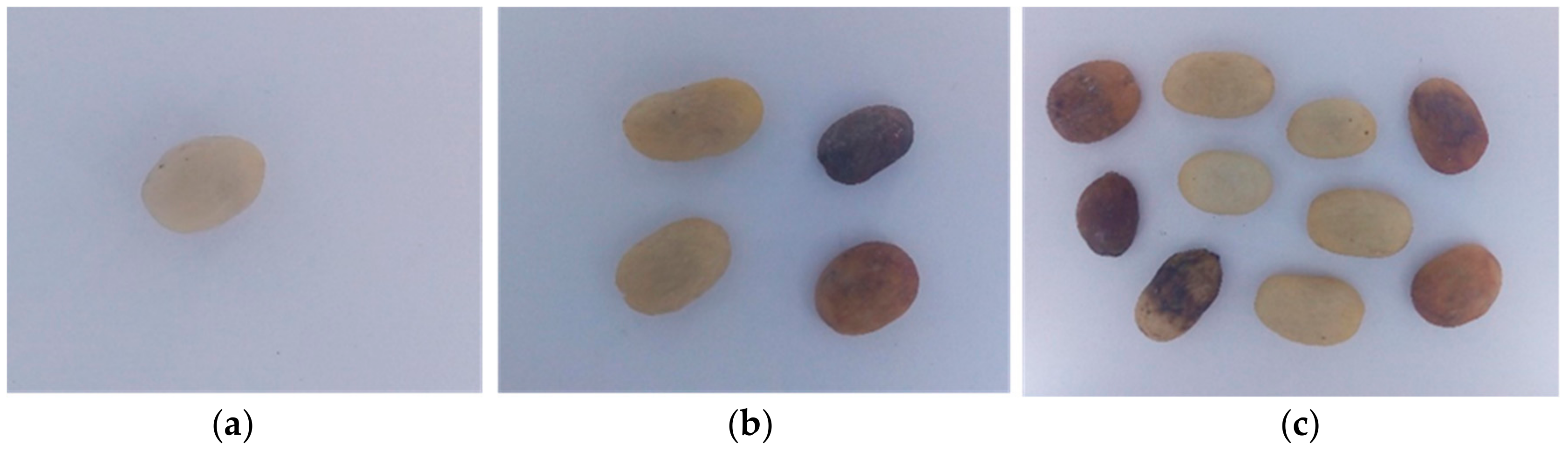 Applsci 09 04195 g005