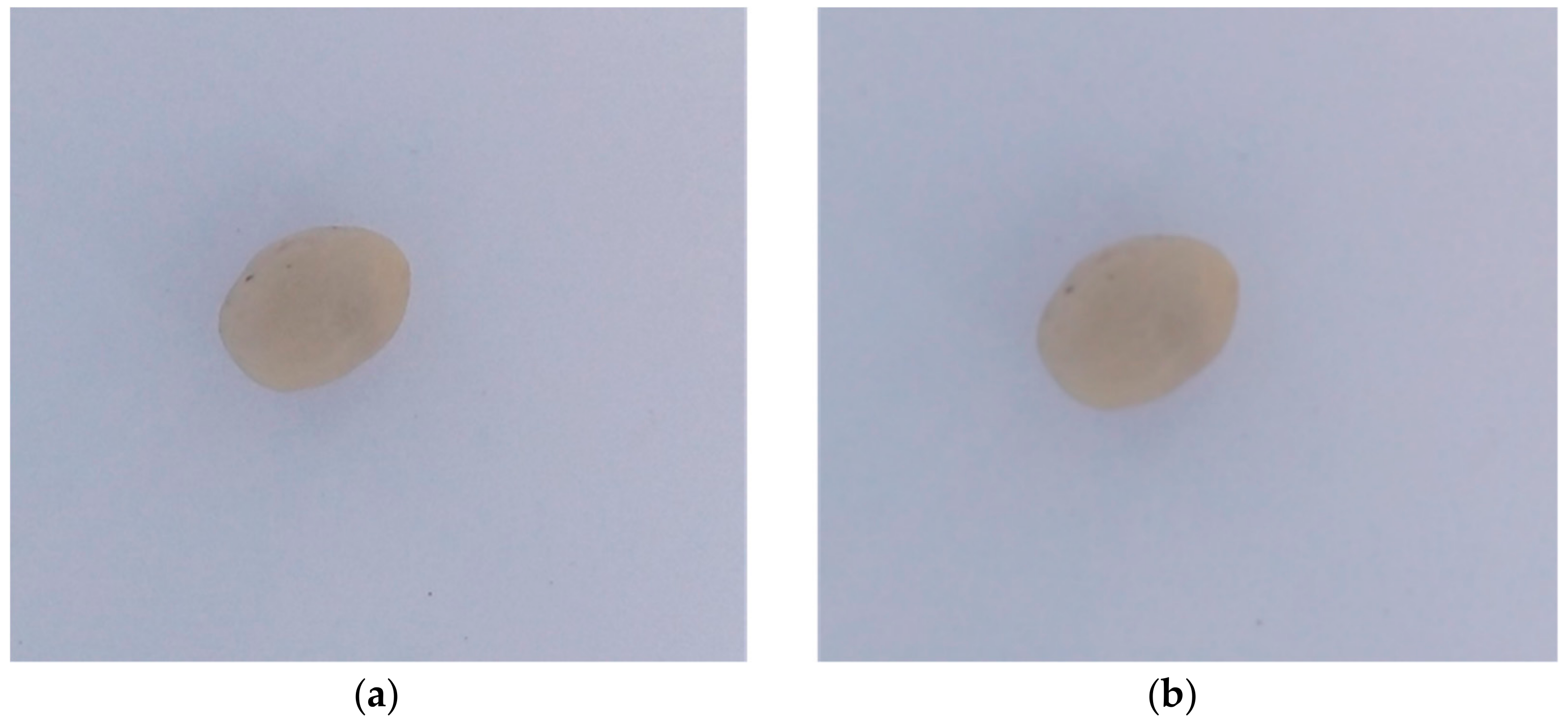 Applsci 09 04195 g006