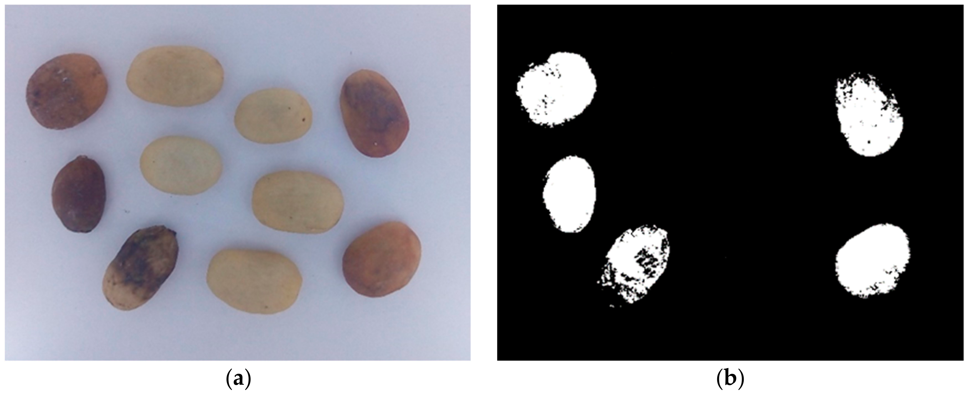 Applsci 09 04195 g008