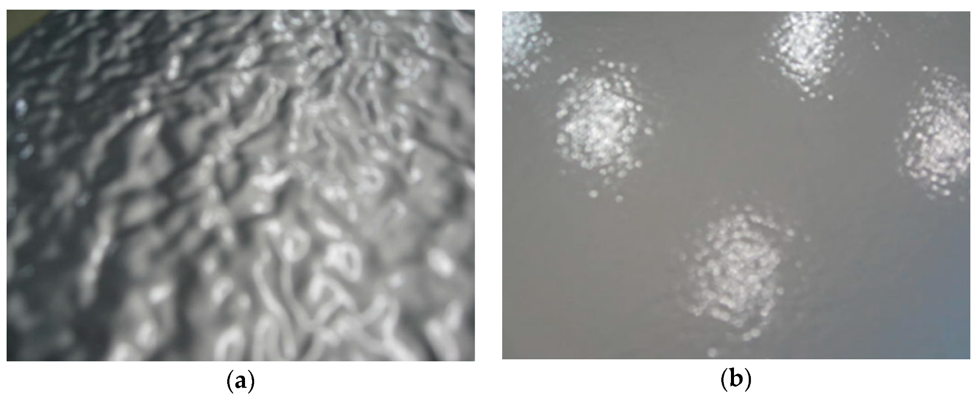 Applsci 09 04207 g006 Applsci 09 04207 g006