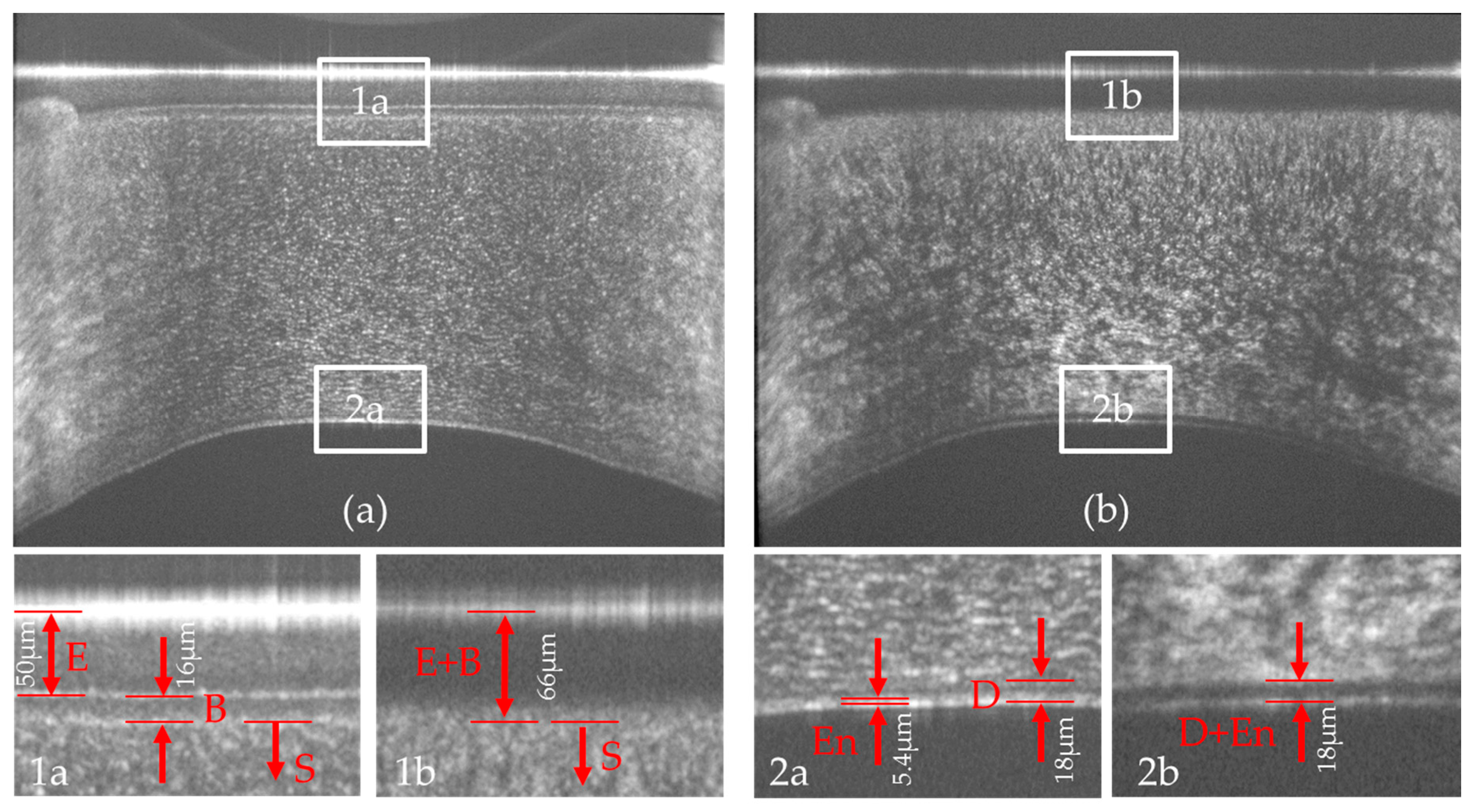 Applsci 09 04245 g003