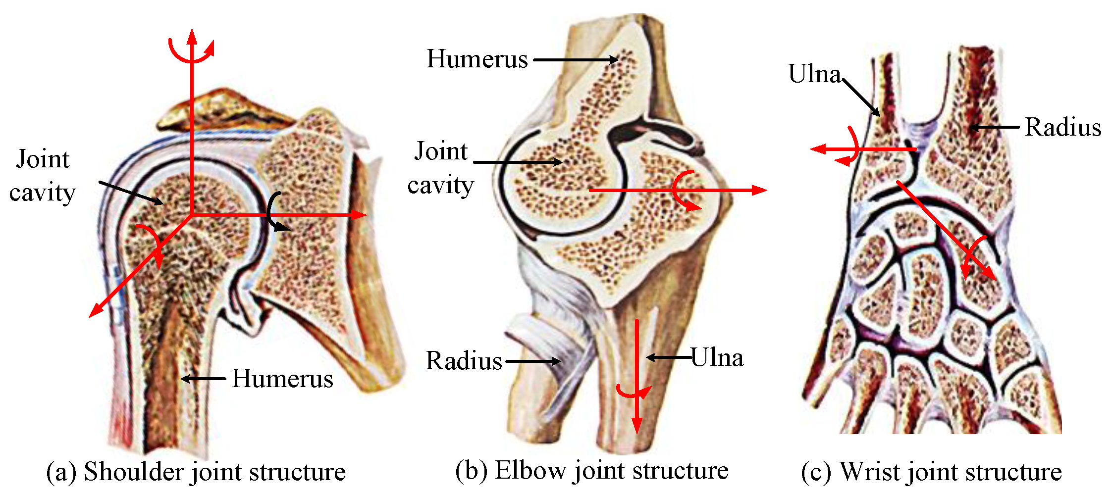 Applsci 09 04294 g002 550