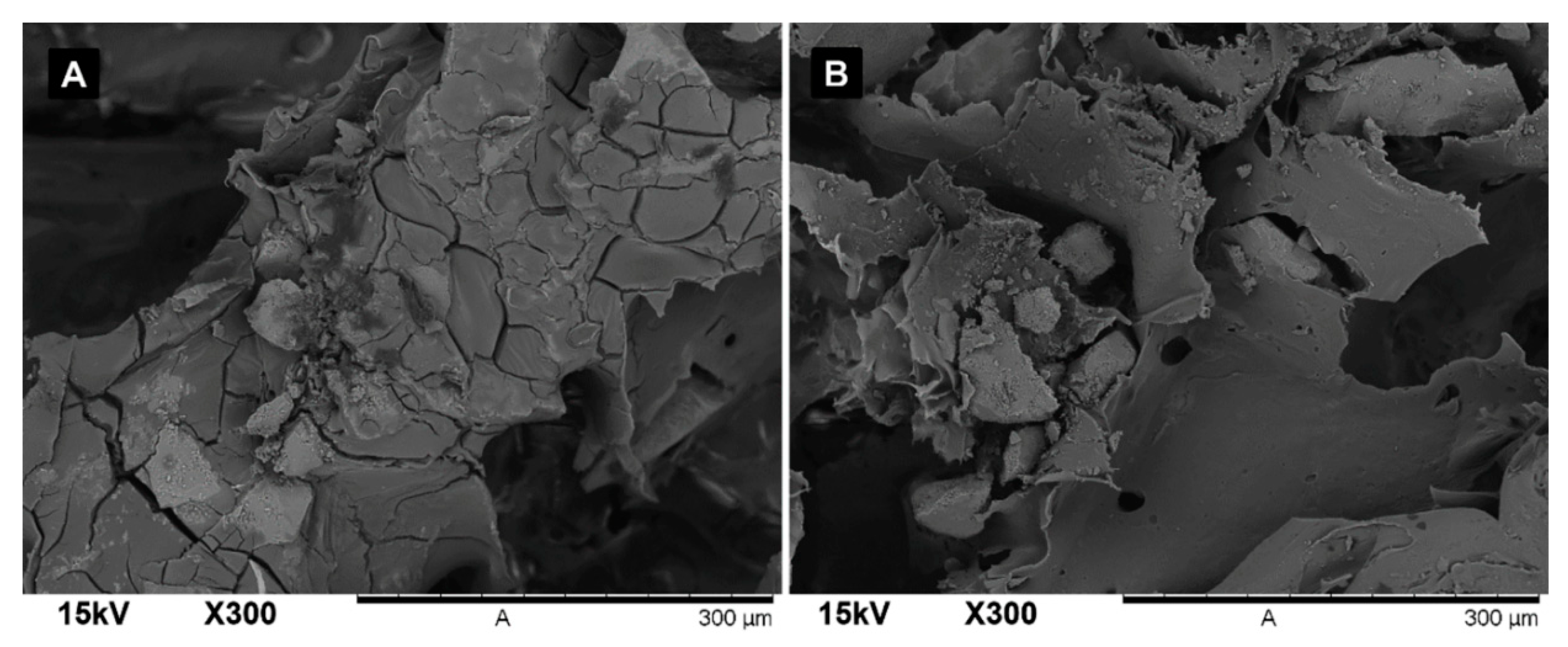 Applsci 09 04296 g002