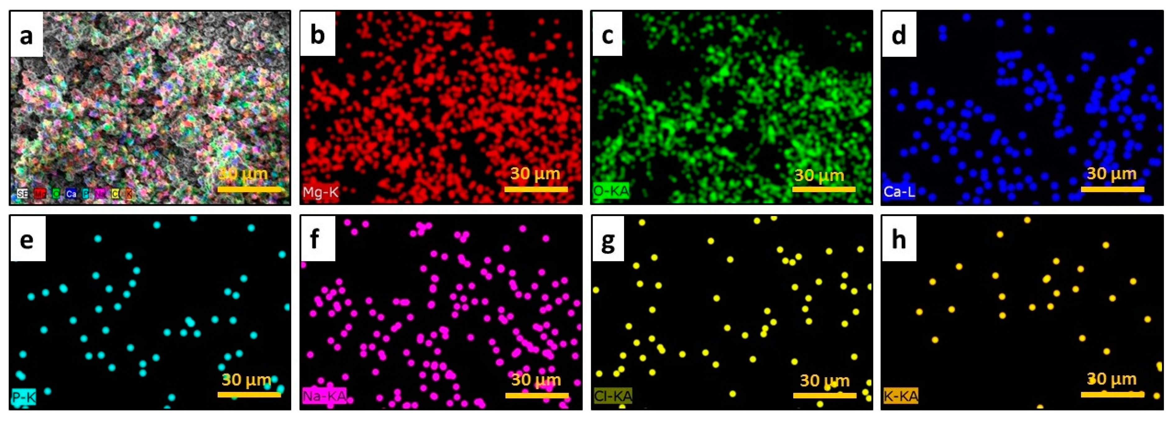 Applsci 09 04304 g007