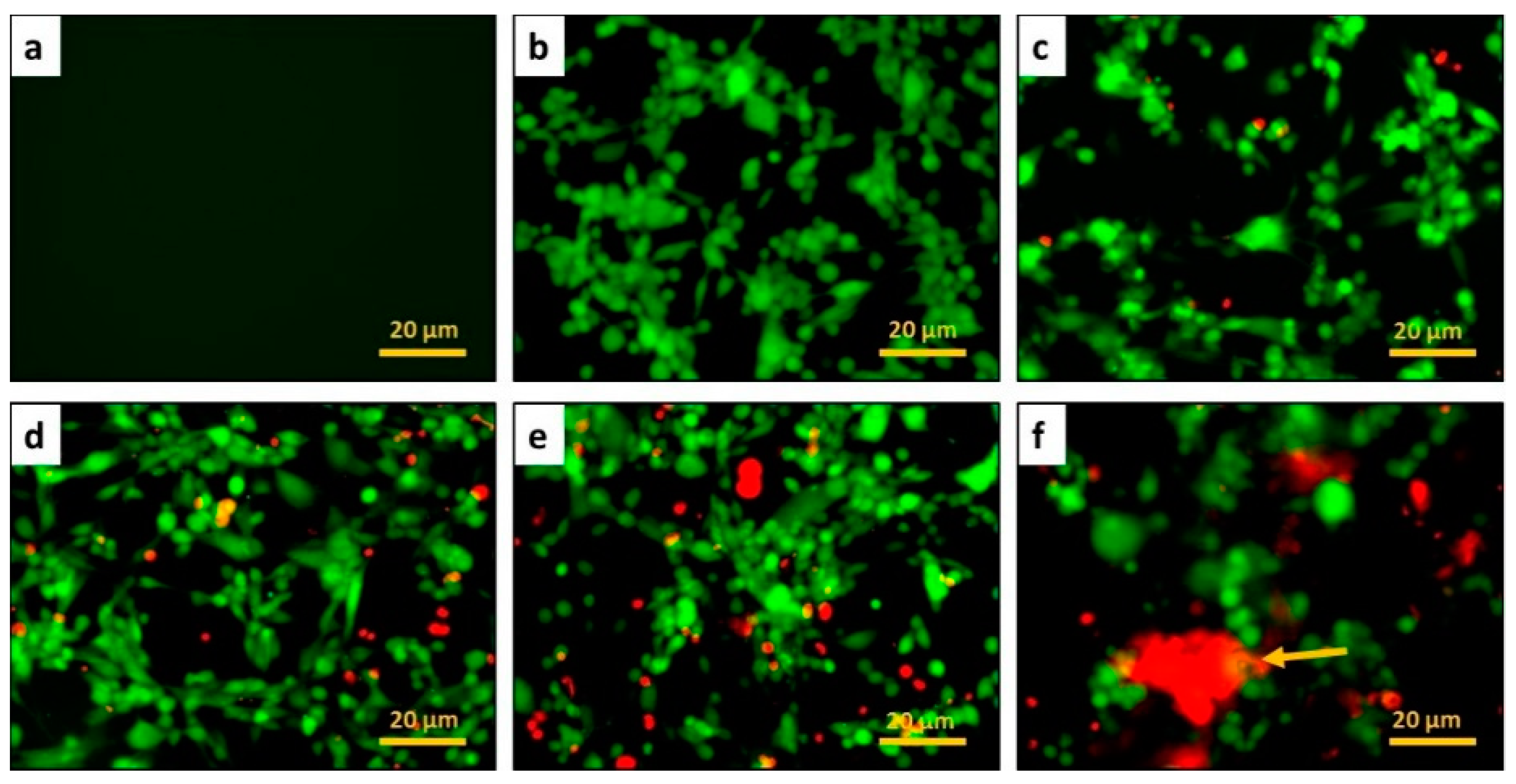 Applsci 09 04304 g010
