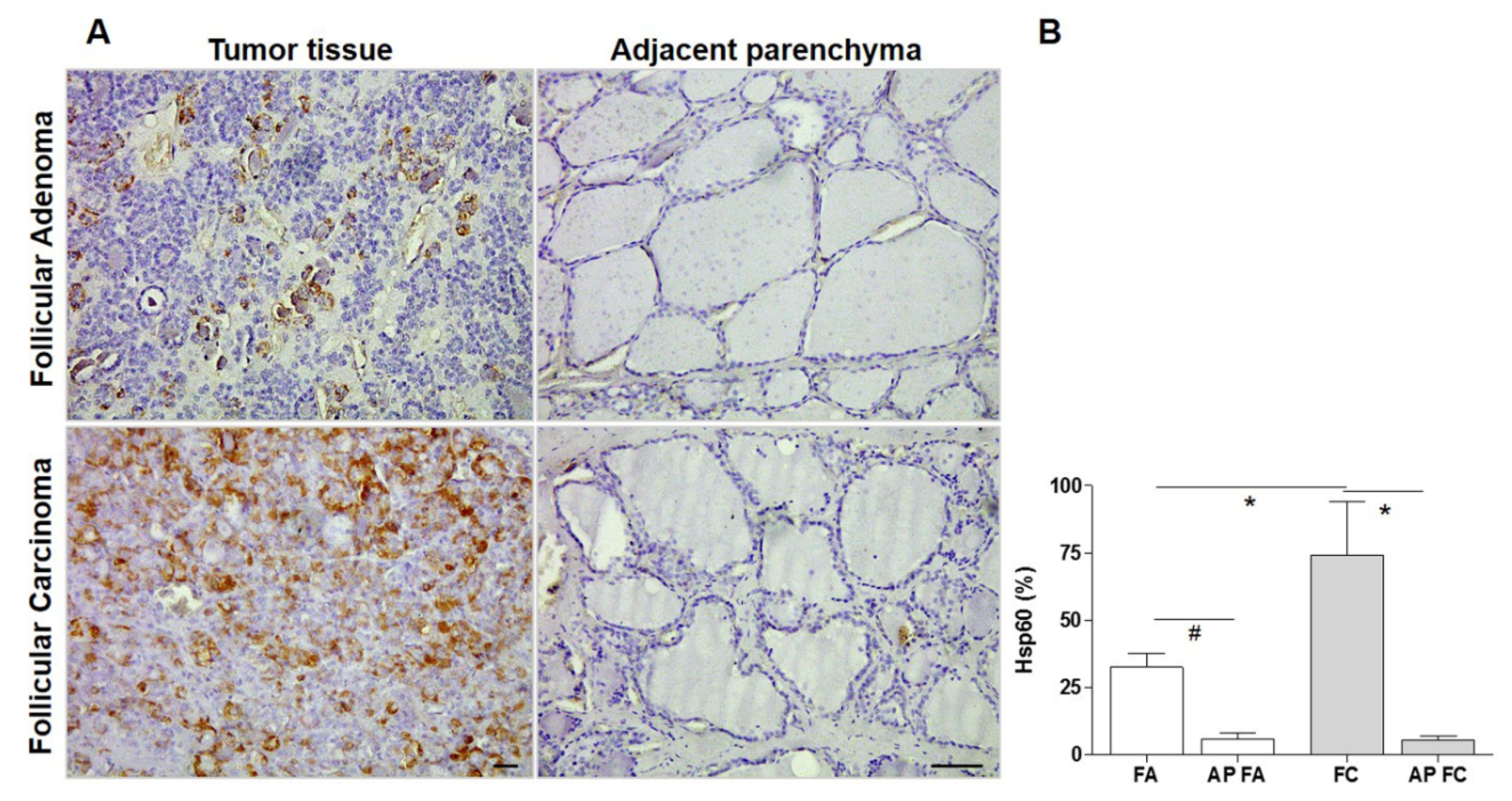 Applsci 09 04324 g002