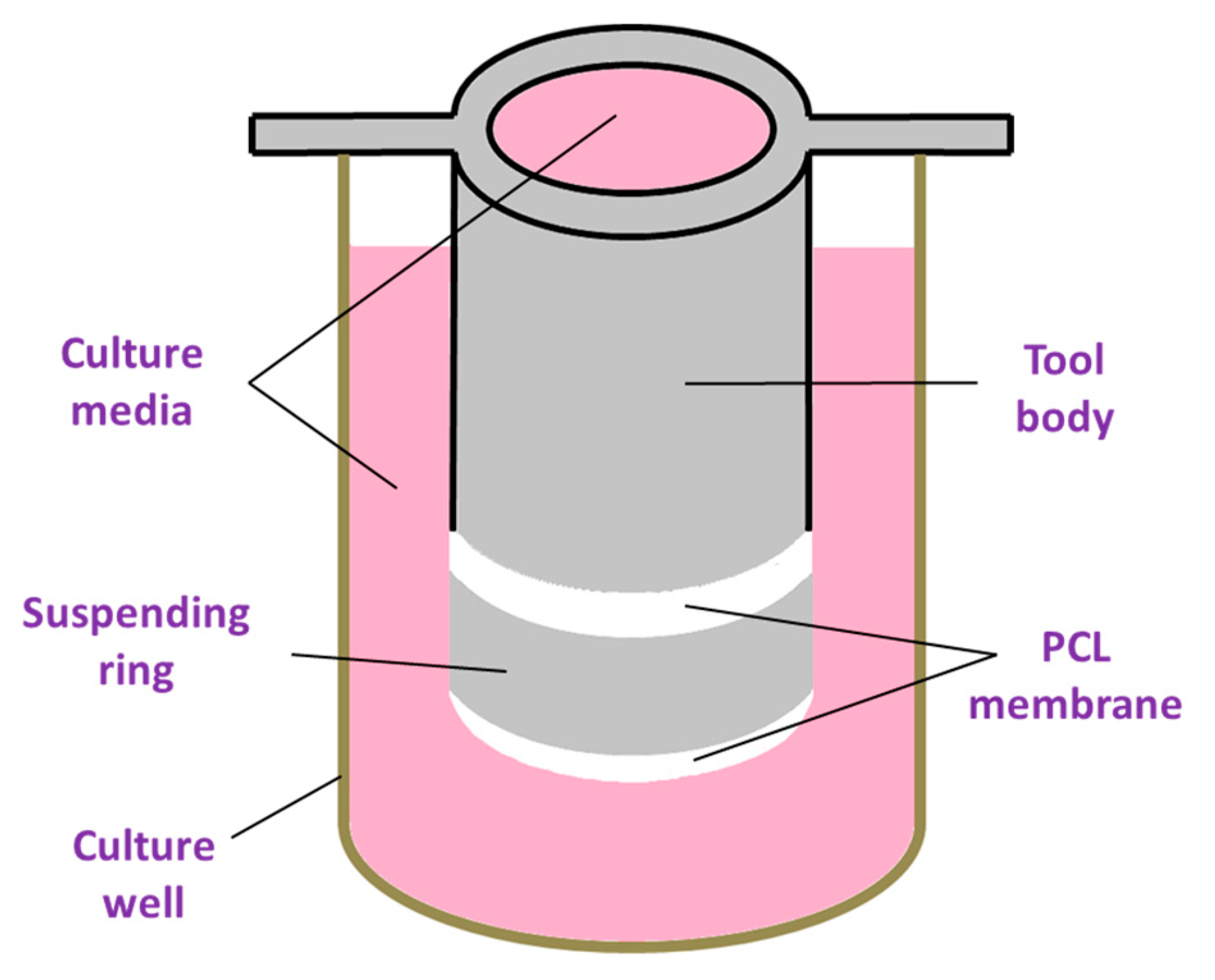 Applsci 09 04350 g001