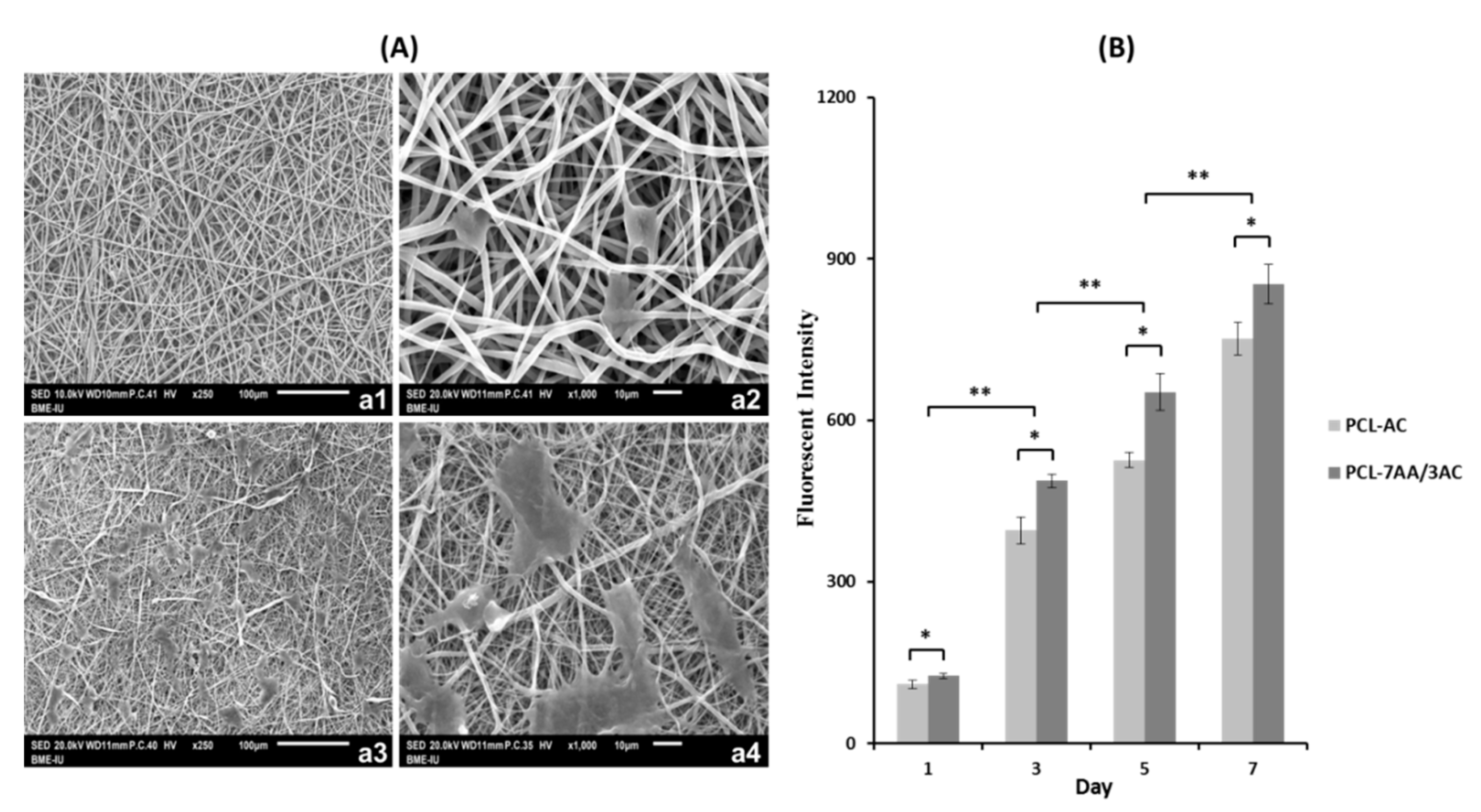 Applsci 09 04350 g004