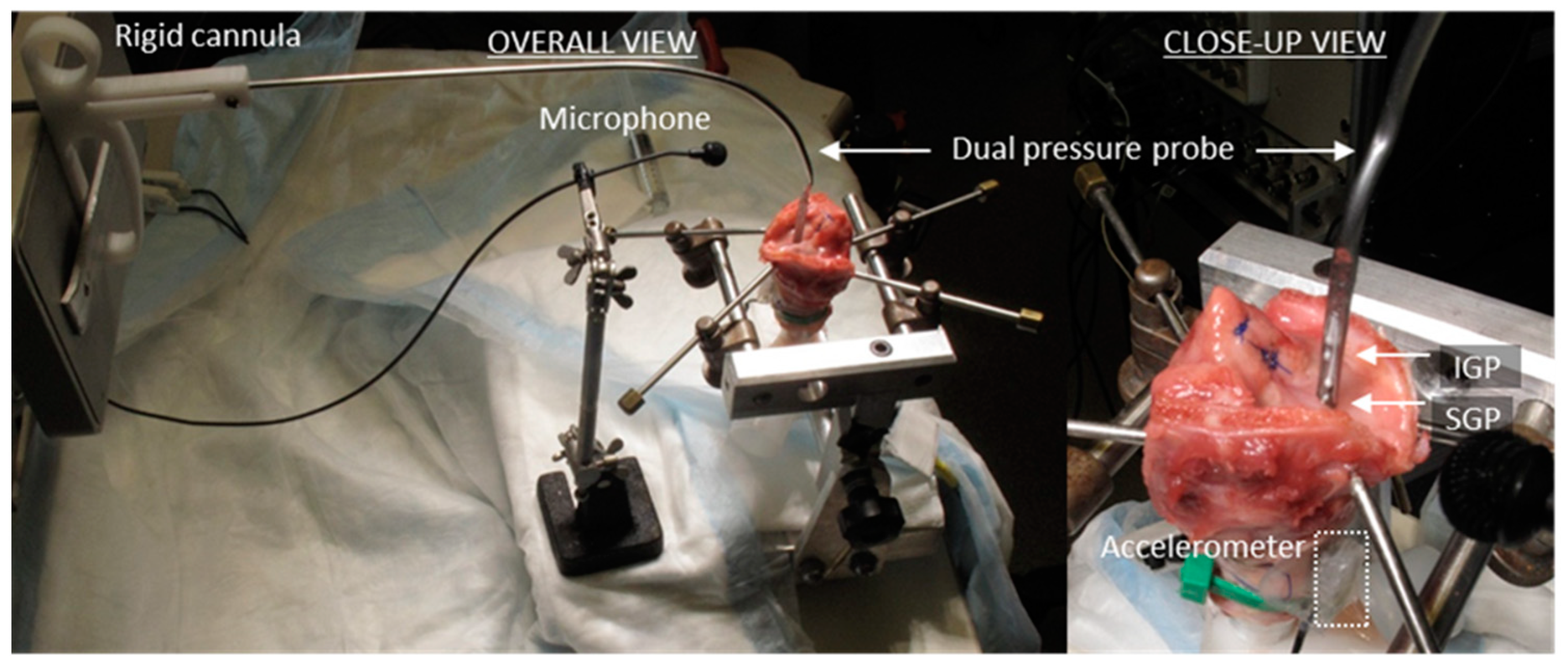 Applsci 09 04360 g002 Applsci 09 04360 g002