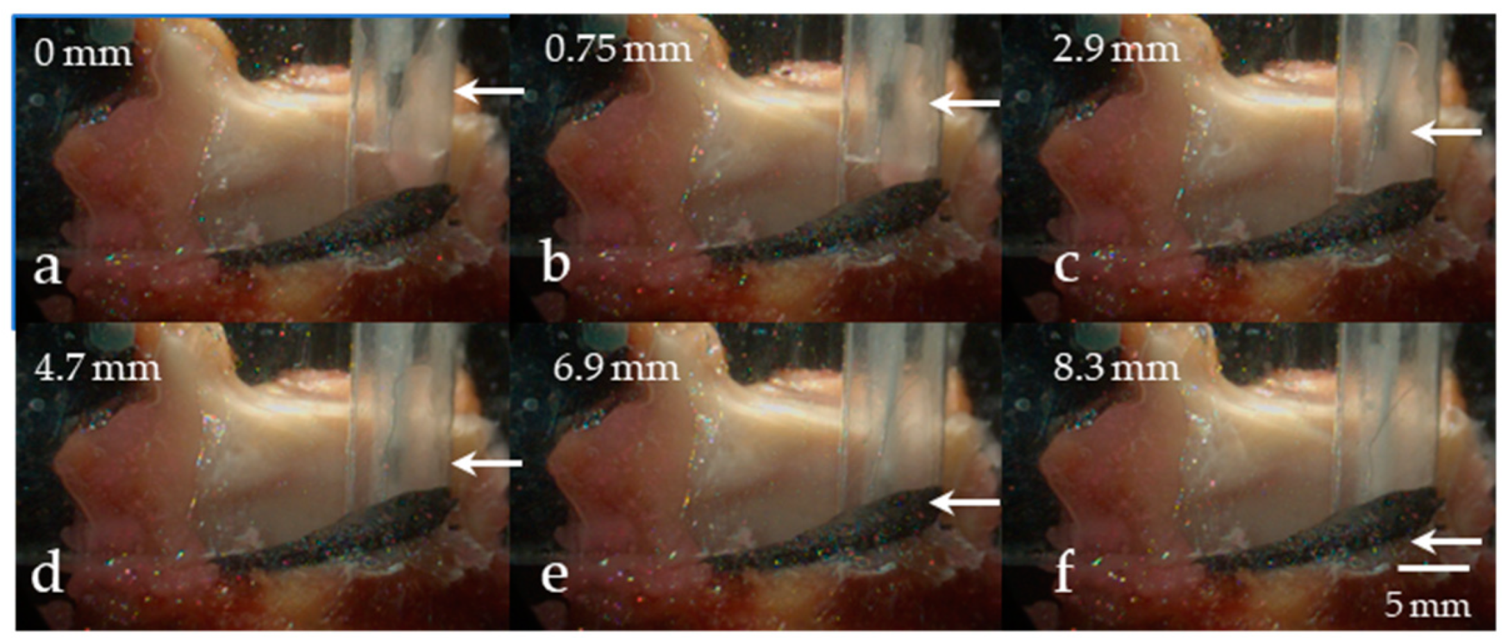 Applsci 09 04360 g008 Applsci 09 04360 g008