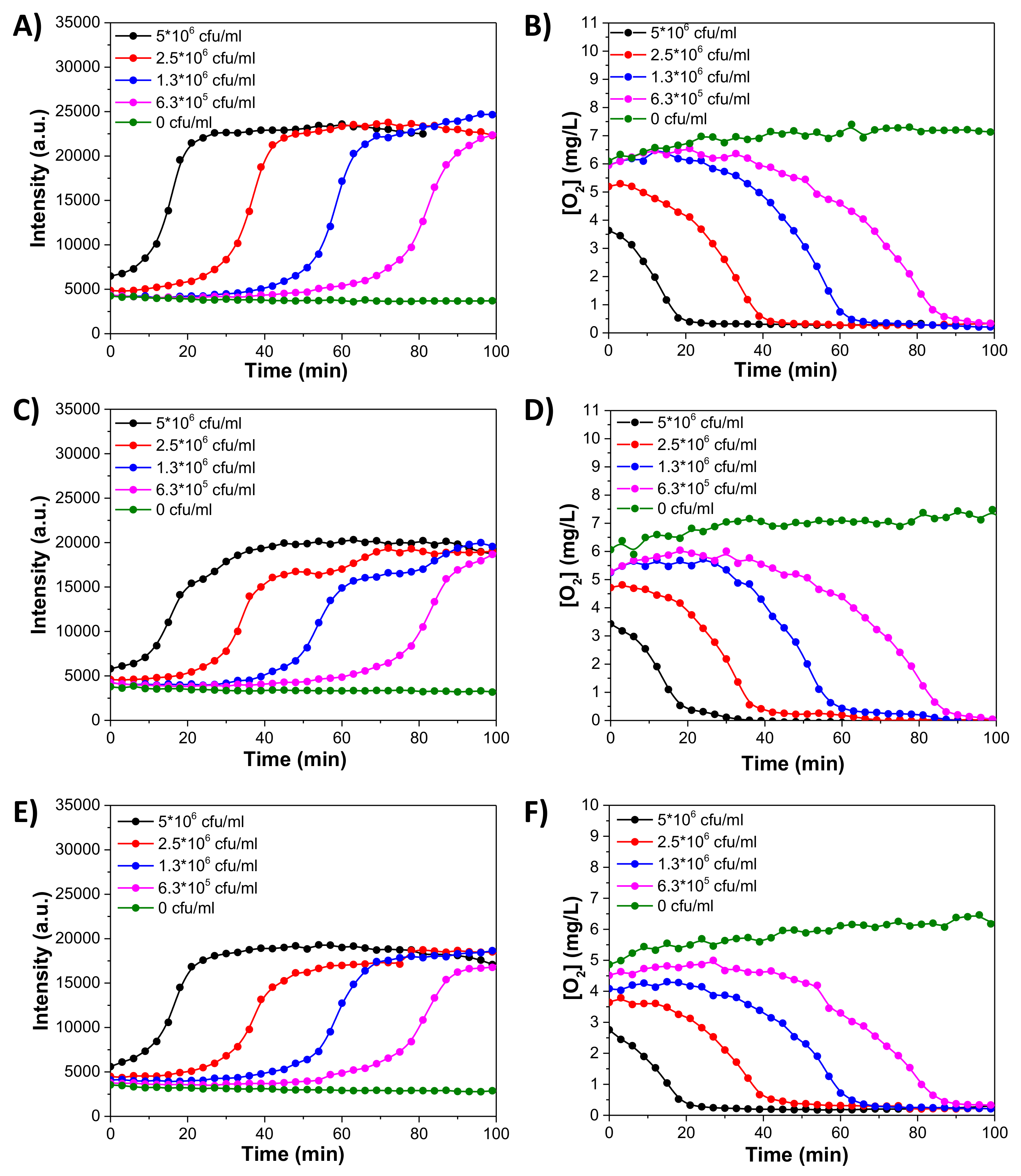 Applsci 09 04404 g008 Applsci 09 04404 g008