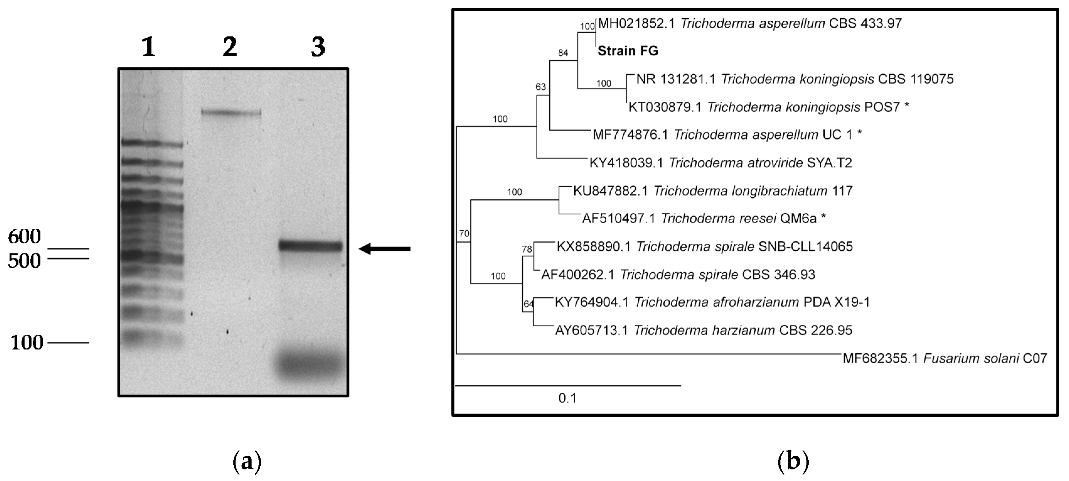Applsci 09 04419 g002